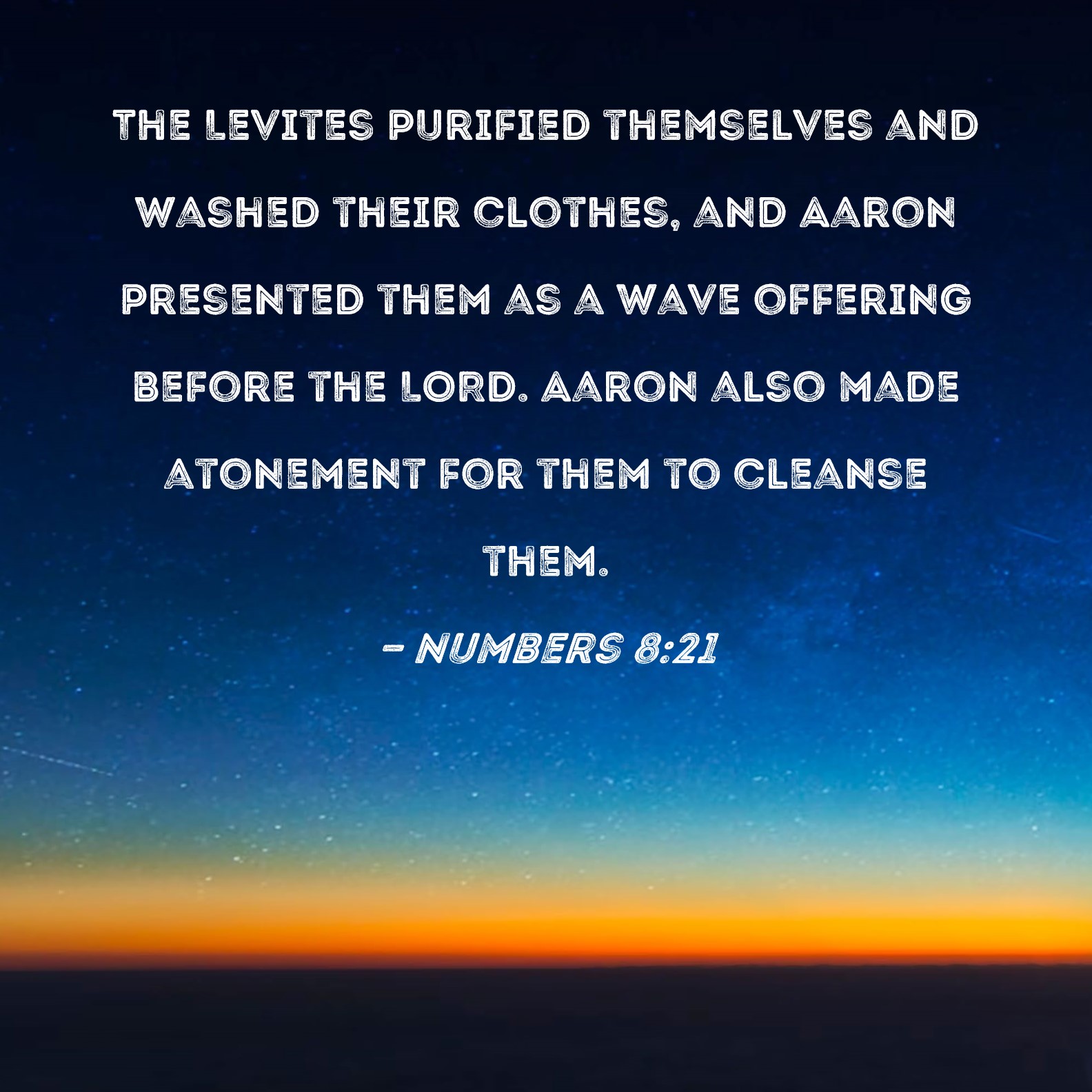 Numbers 8 21 The Levites Purified Themselves And Washed Their Clothes 