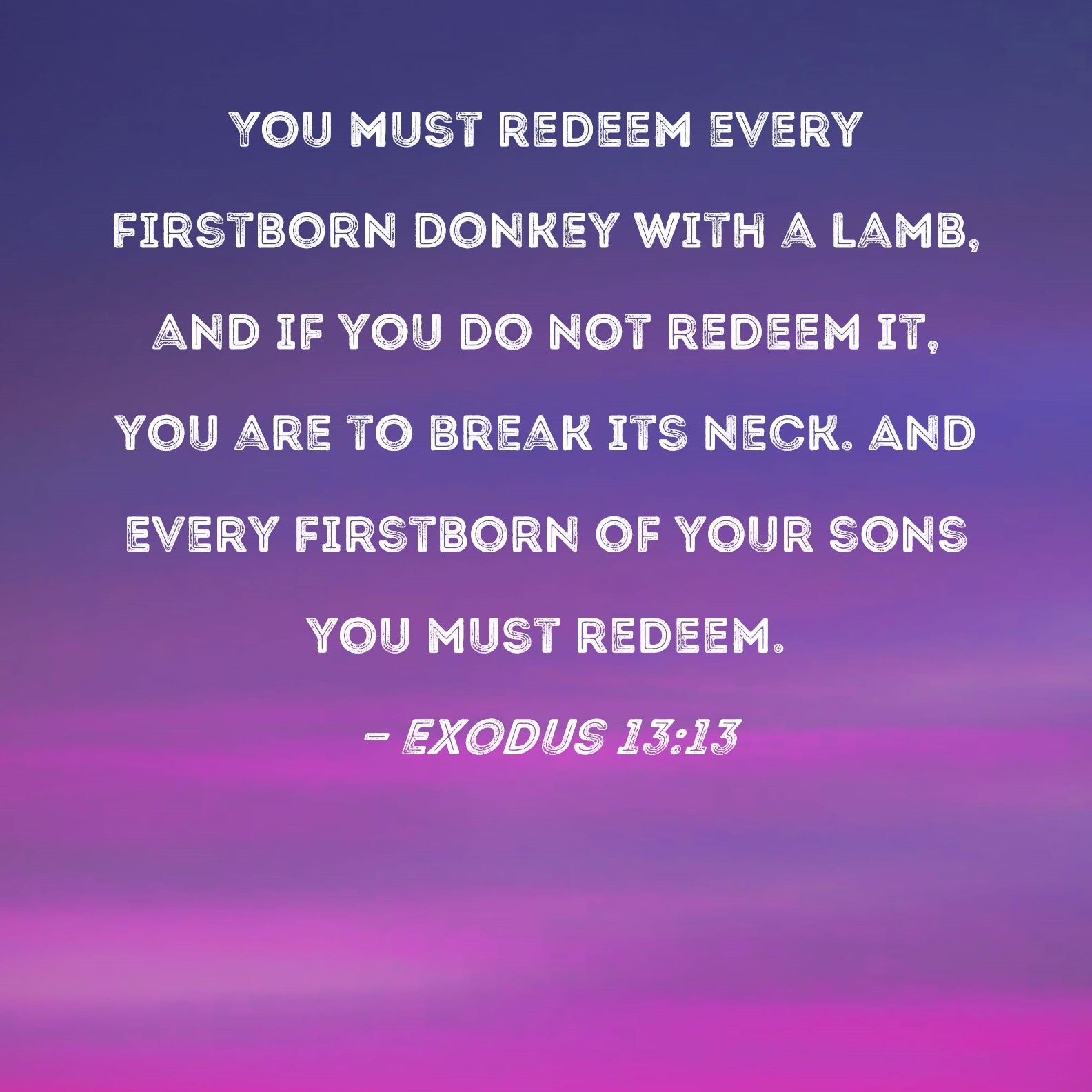 Exodus 13 13 You Must Redeem Every Firstborn Donkey With A Lamb And If 