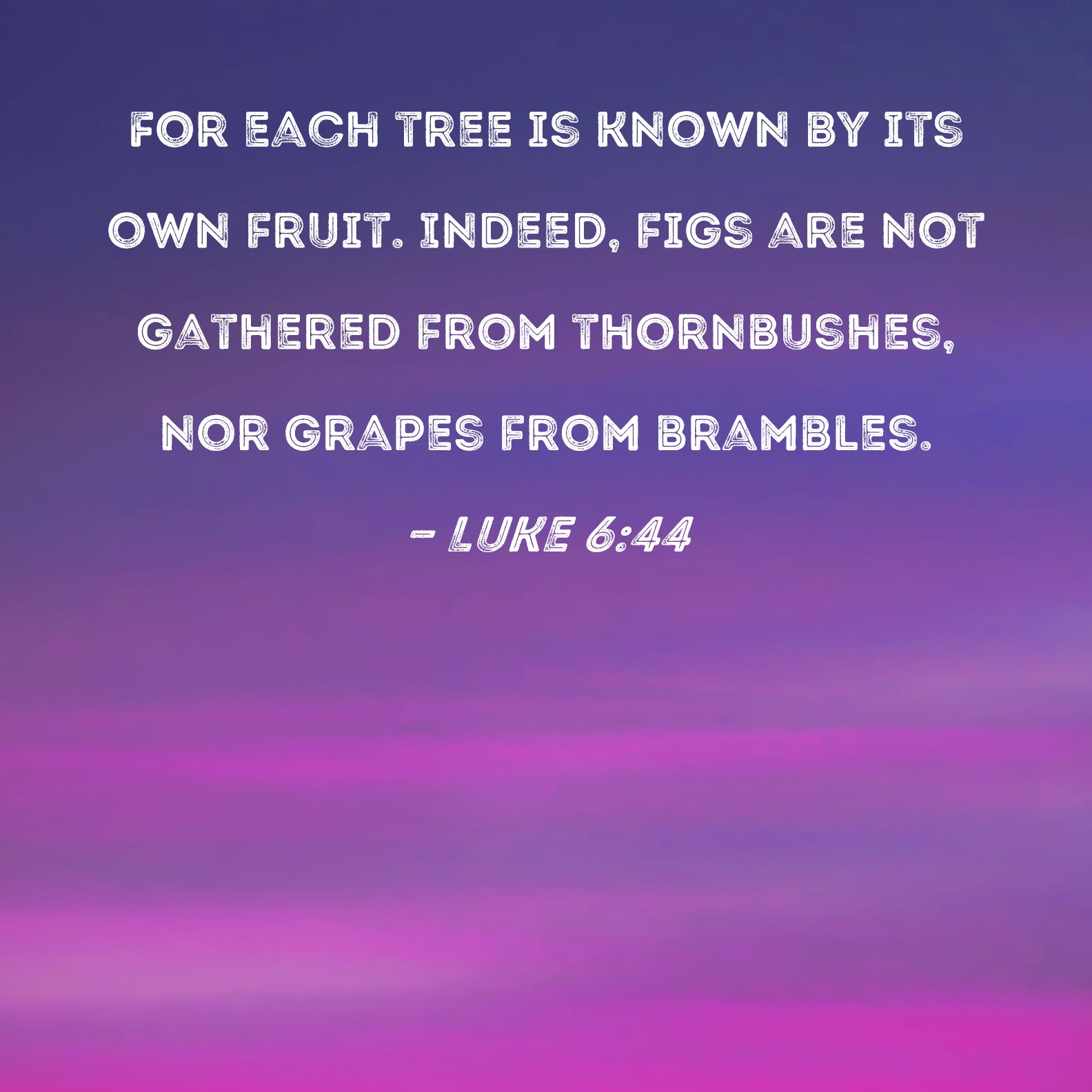 Luke 6:44 For each tree is known by its own fruit. Indeed, figs are not  gathered from thornbushes, nor grapes from brambles.