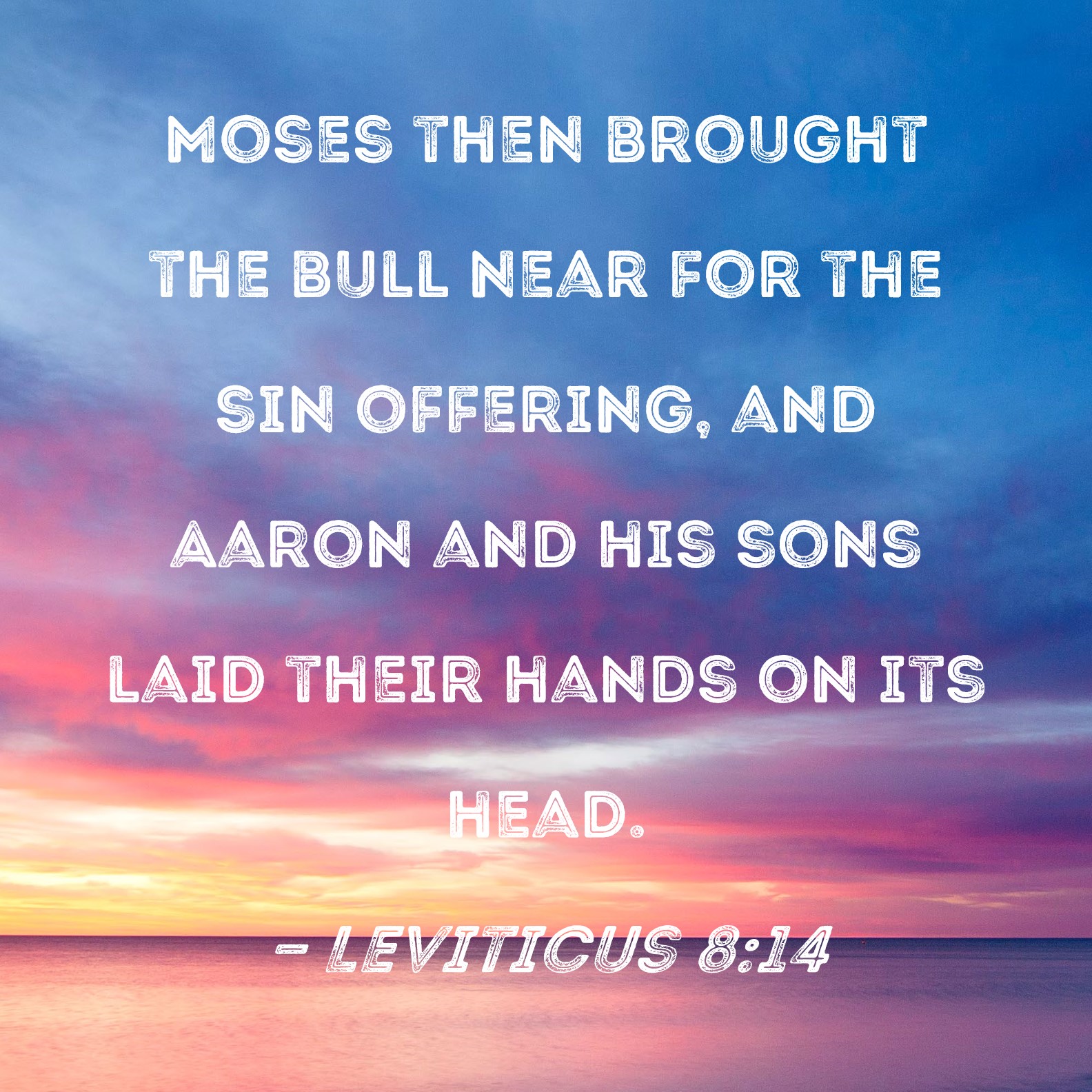 Leviticus 8 14 Moses Then Brought The Bull Near For The Sin Offering