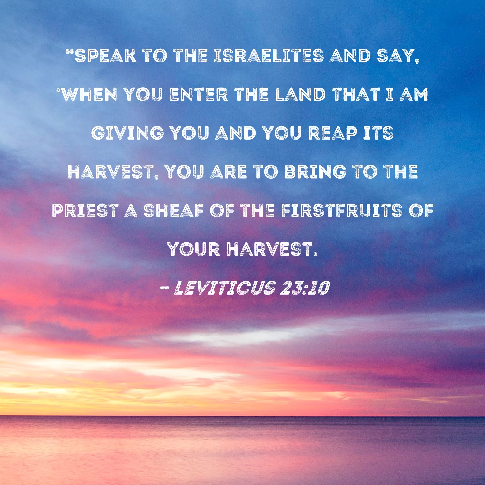 Leviticus 2310 "Speak to the Israelites and say, 'When you enter the