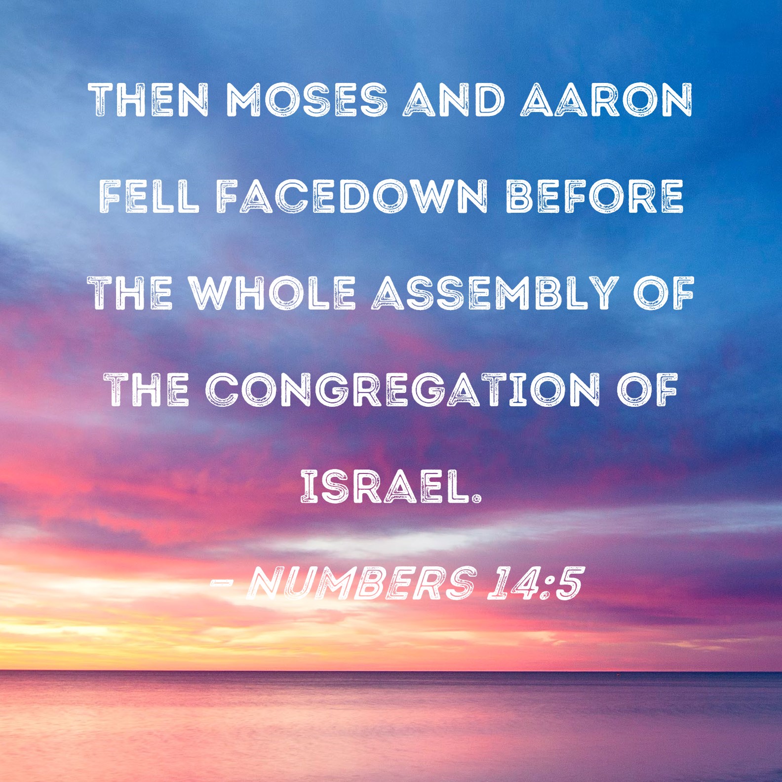 Numbers 14 5 Then Moses And Aaron Fell Facedown Before The Whole 