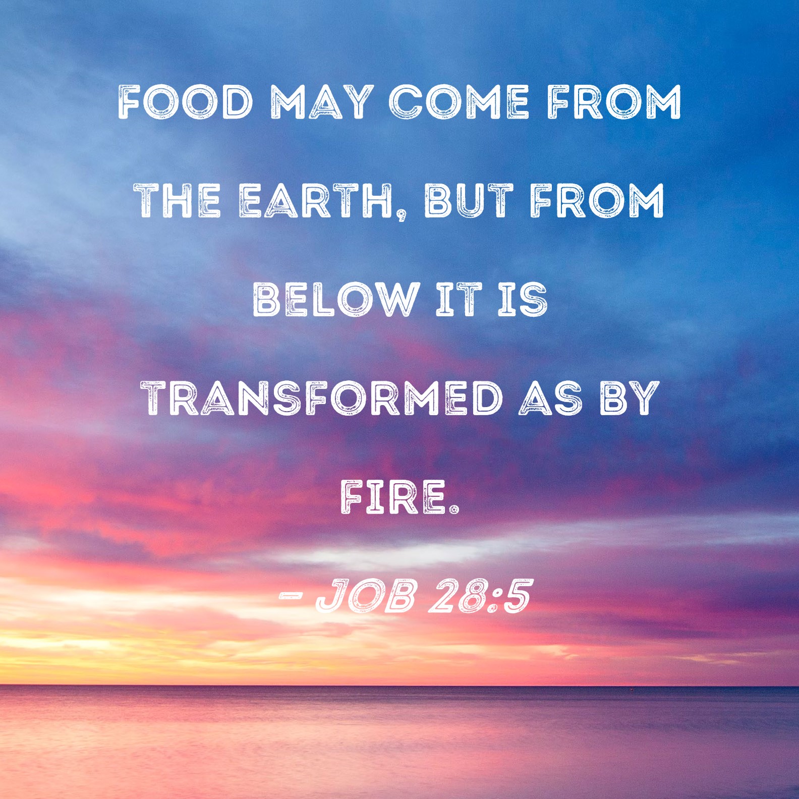 Job 28 5 Food May Come From The Earth But From Below It Is Transformed 