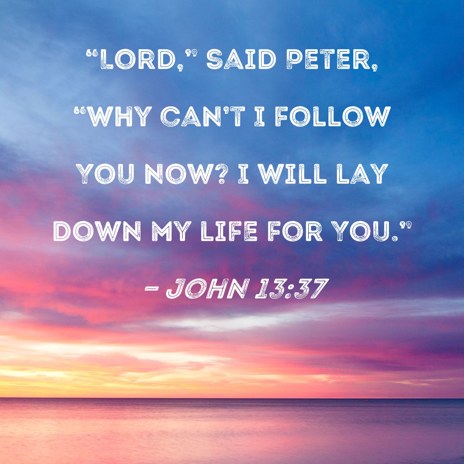 John 13 37 Lord Said Peter why Can t I Follow You Now I Will Lay 