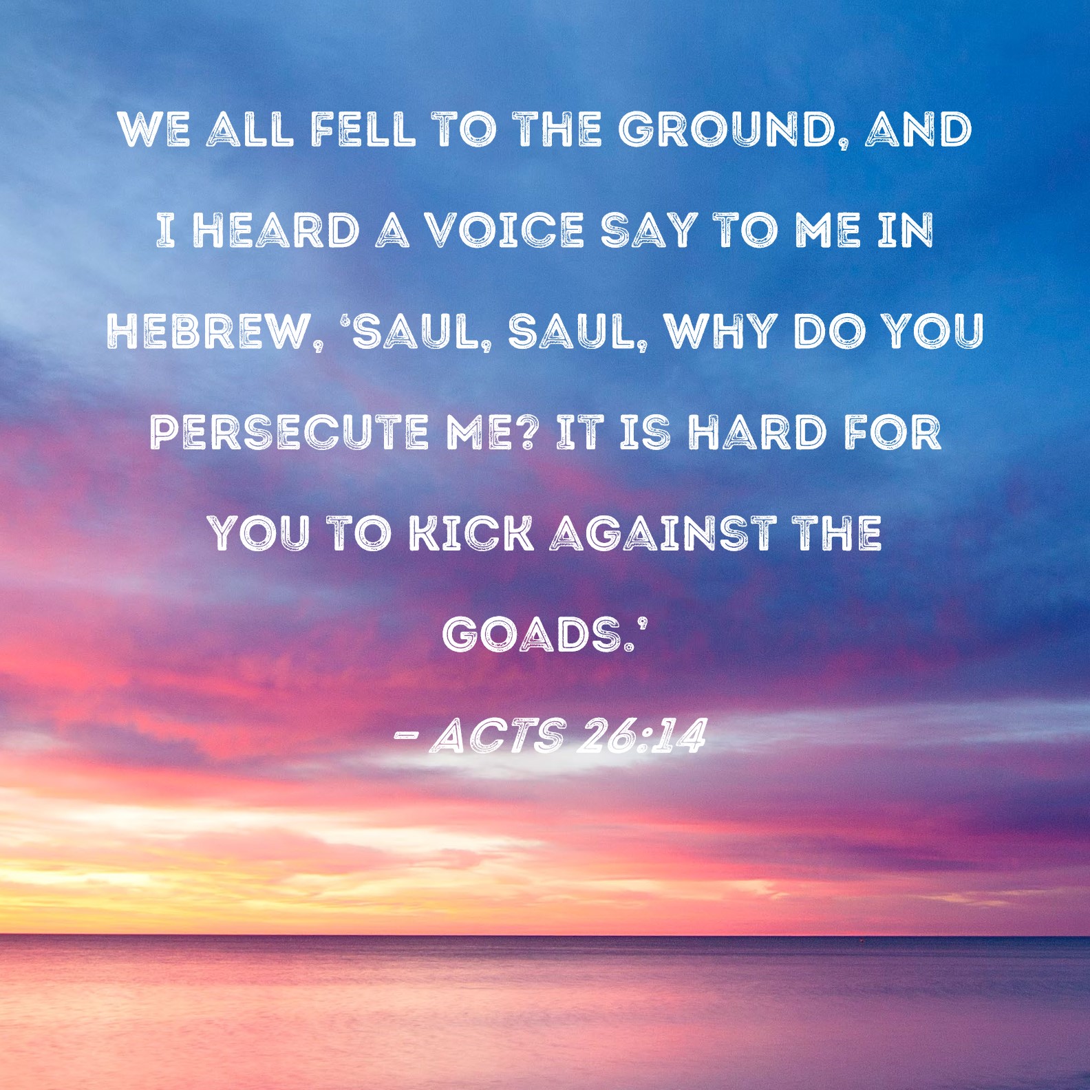 Acts 26:14 We all fell to the ground, and I heard a voice say to me in ...