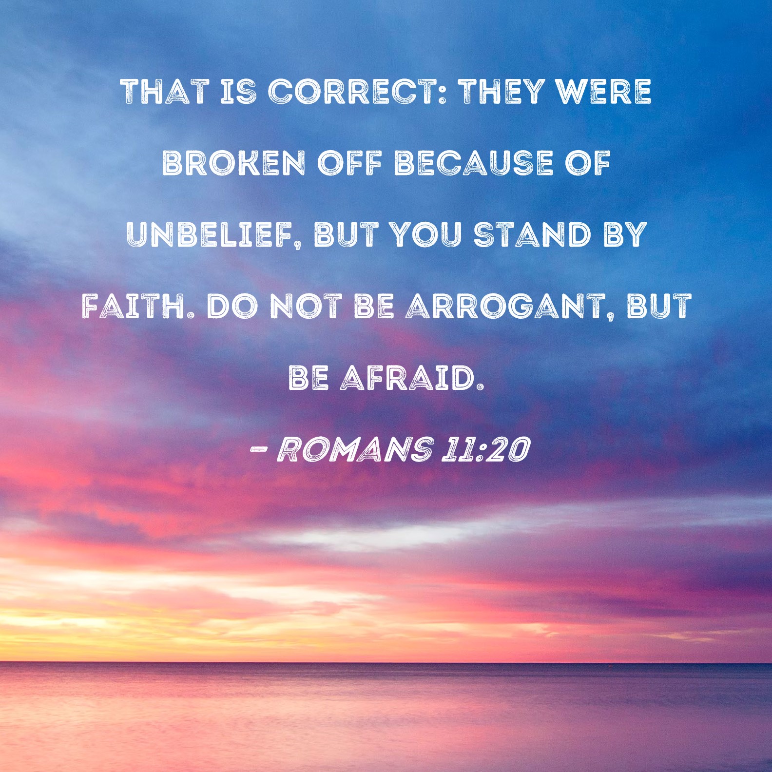 Romans 11 20 That Is Correct They Were Broken Off Because Of Unbelief 