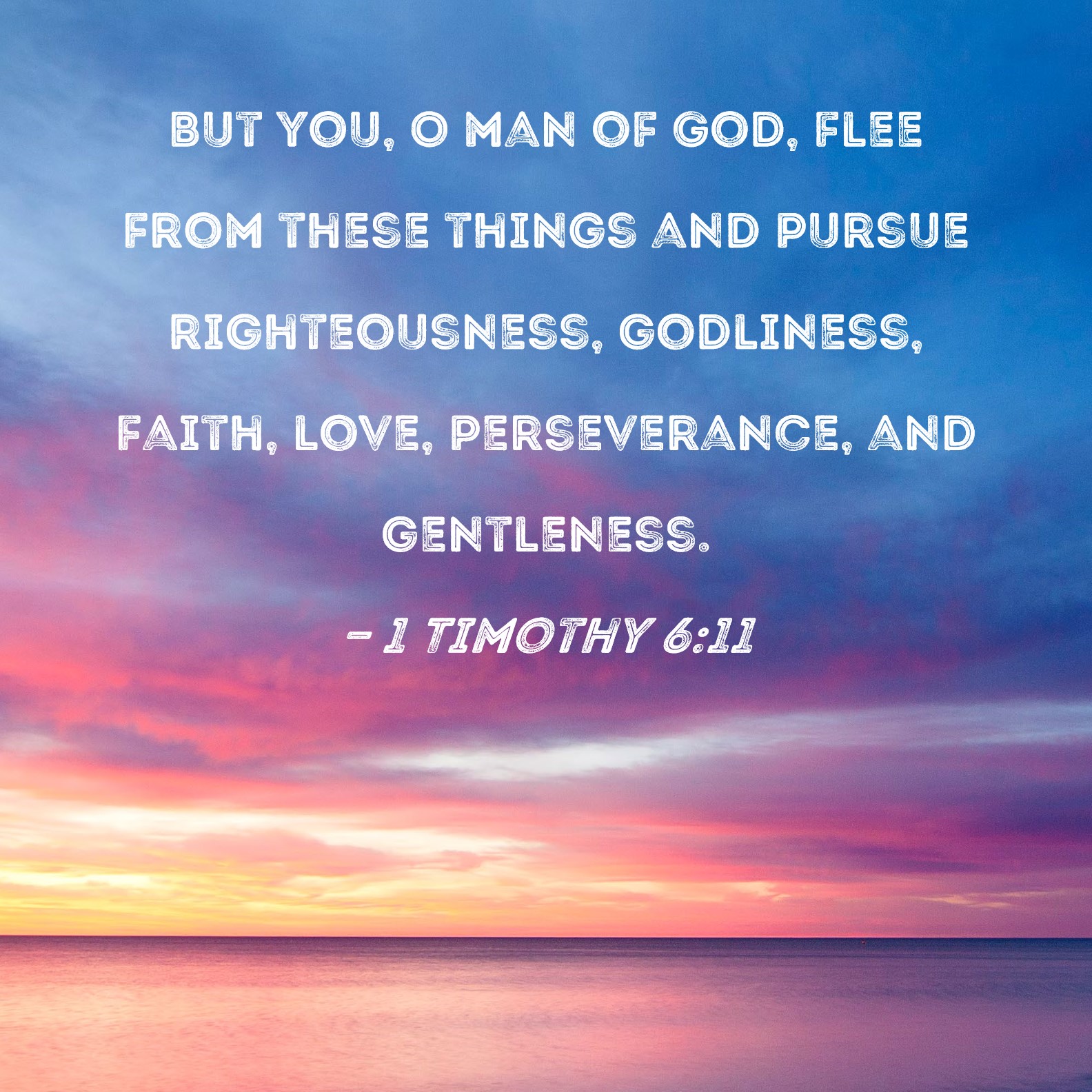 1 6:11 But you, man of God, from these and pursue righteousness, godliness, faith, love, perseverance, and gentleness.