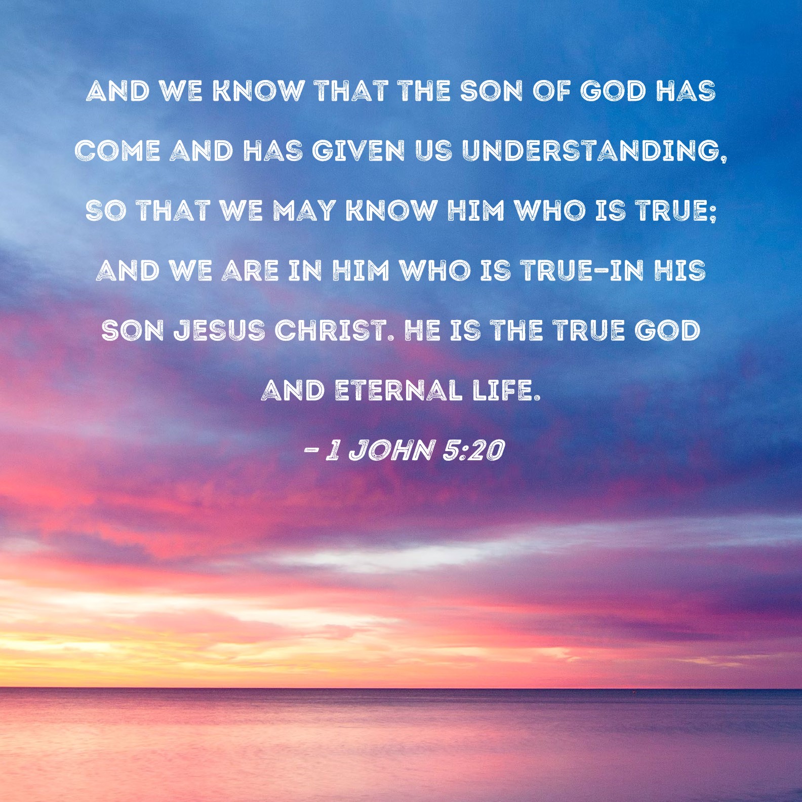 1 John 5:20 And we know that the Son of God has come and has given us ...