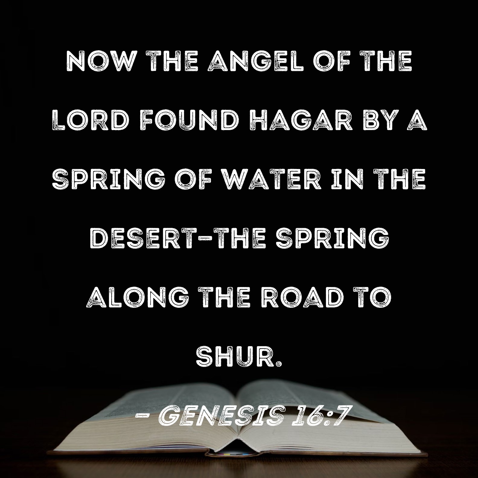 Genesis 167 Now The Angel Of The Lord Found Hagar By A Spring Of Water