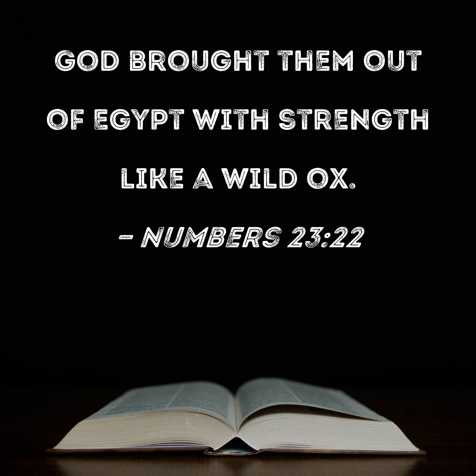 Numbers 23 22 God Brought Them Out Of Egypt With Strength Like A Wild Ox 