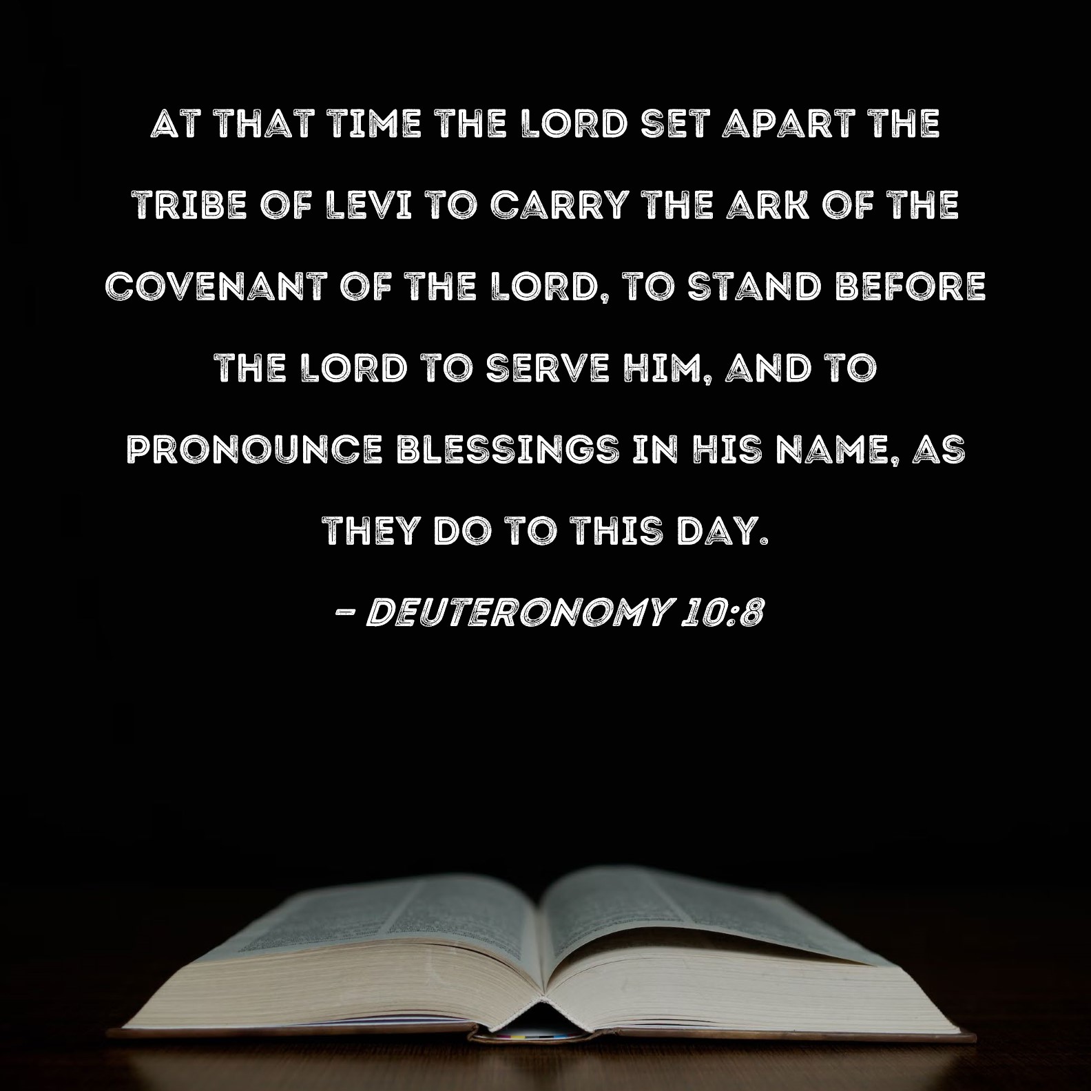 Deuteronomy 10:8 At that time the LORD set apart the tribe of Levi to carry  the ark of the covenant of the LORD, to stand before the LORD to serve Him,  and