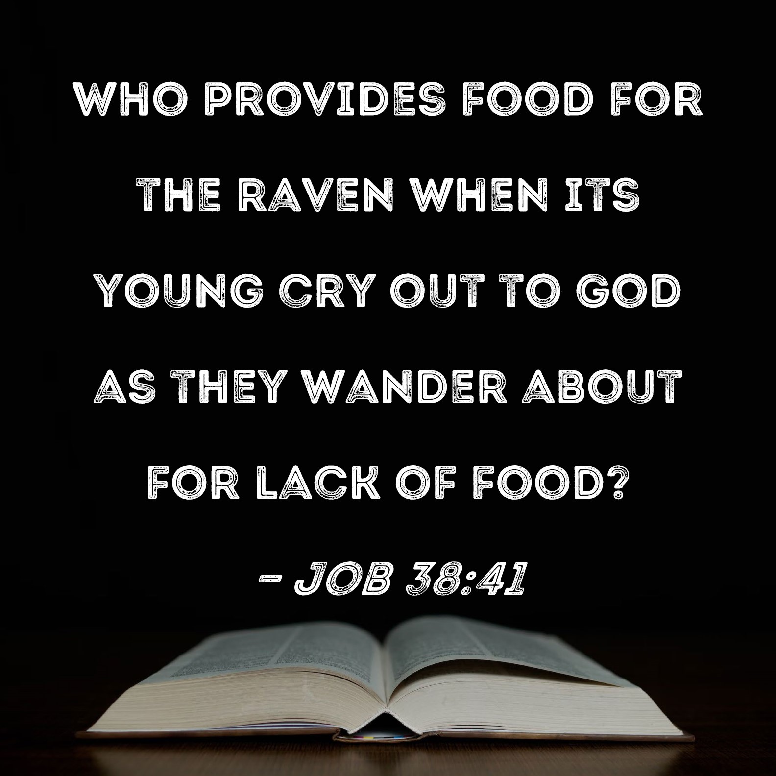 Job 38 41 Who Provides Food For The Raven When Its Young Cry Out To God 