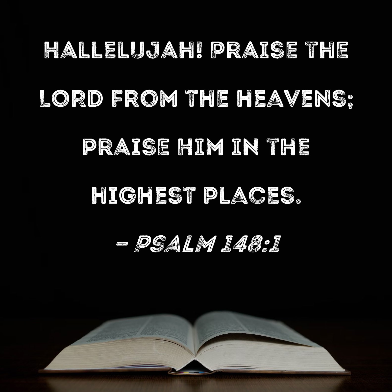 Psalm 148:1 Hallelujah Praise the LORD from the heavens praise Him in