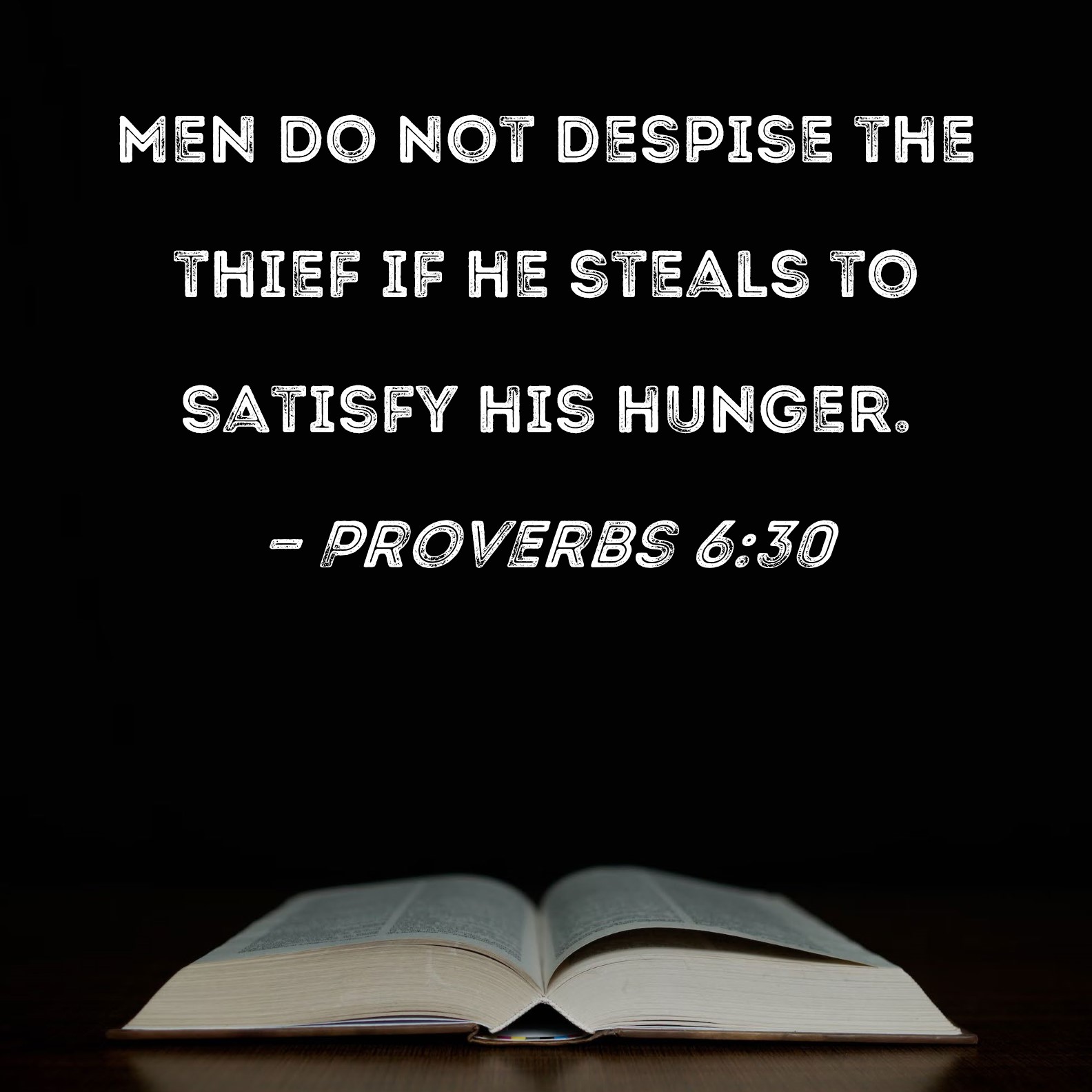 Proverbs 6 30 Men Do Not Despise The Thief If He Steals To Satisfy His 