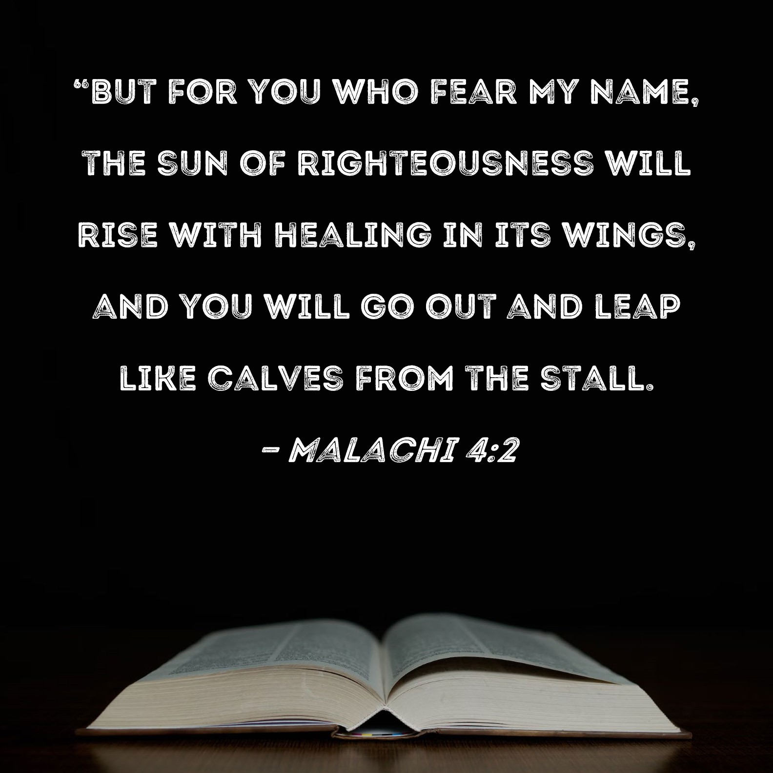 Malachi 4 2 But For You Who Fear My Name The Sun Of Righteousness 