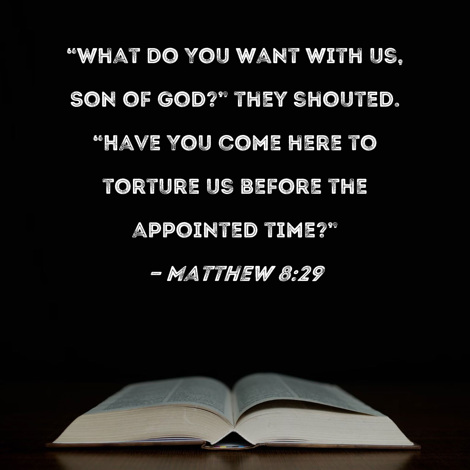 Matthew 8 29 What Do You Want With Us Son Of God They Shouted 