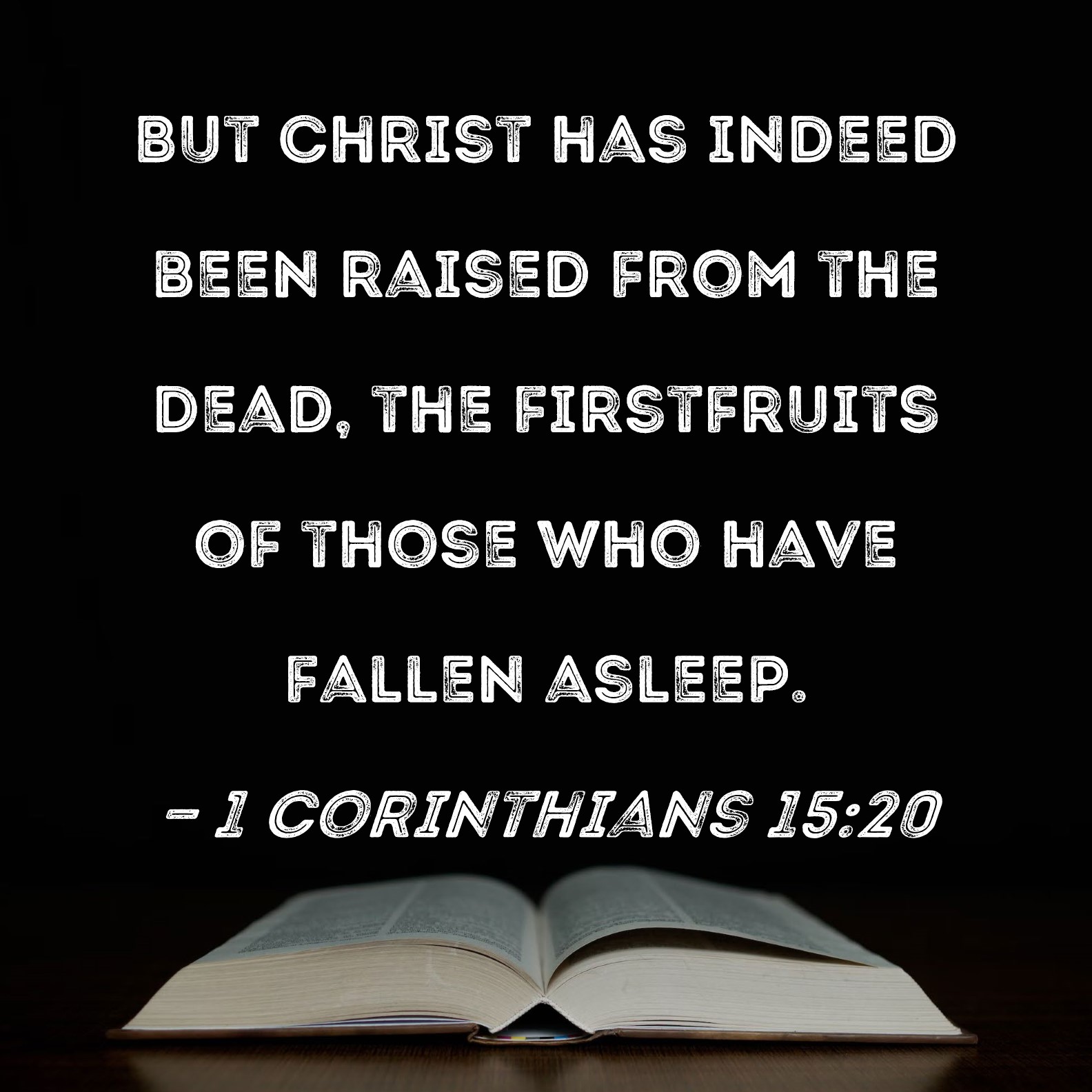 1 Corinthians 15 20 But Christ Has Indeed Been Raised From The Dead 