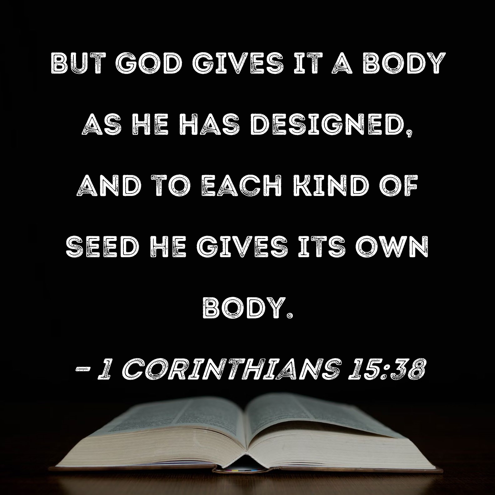 1 Corinthians 15:38 But God gives it a body as He has designed, and to each  kind of seed He gives its own body.
