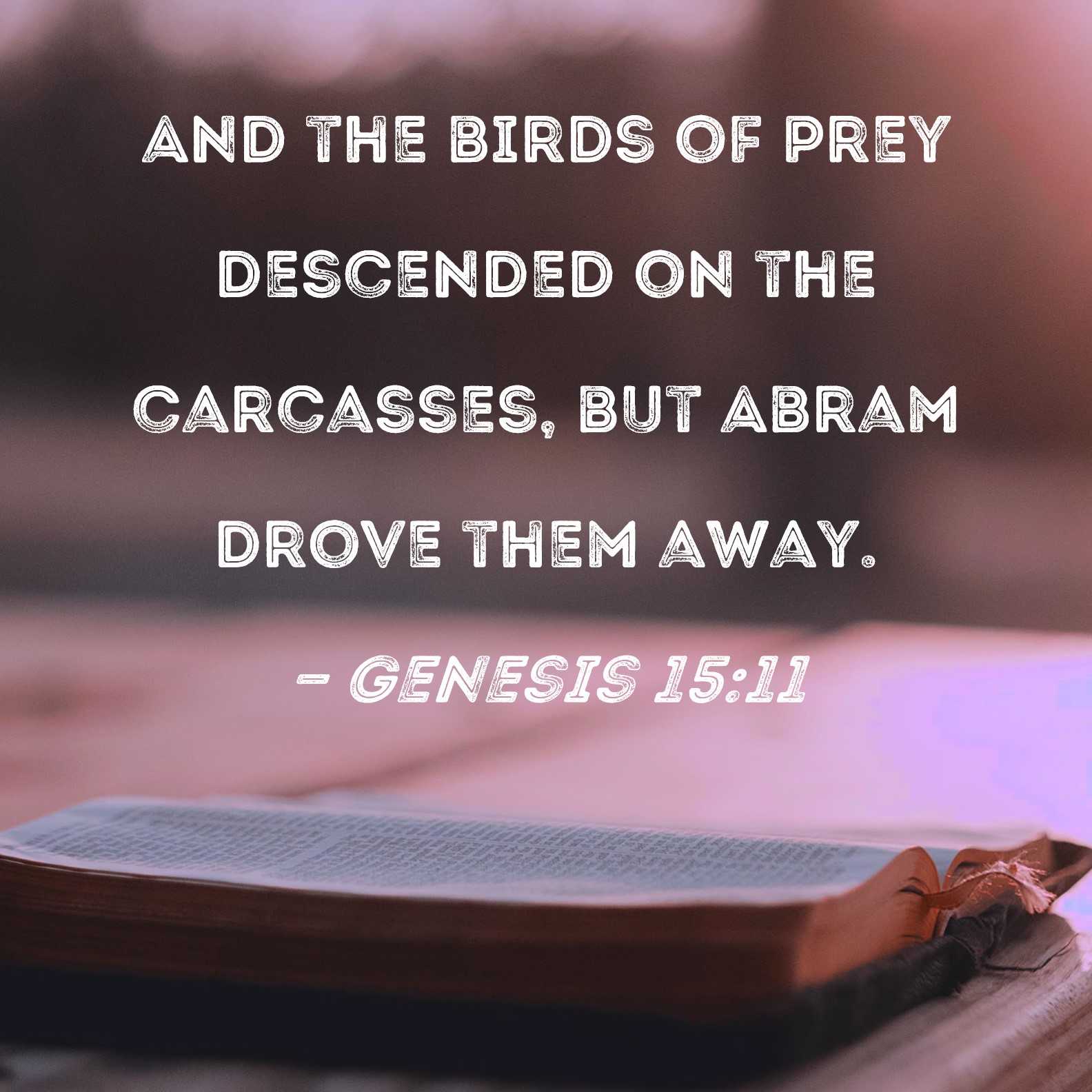 Genesis 15 11 And The Birds Of Prey Descended On The Carcasses But 