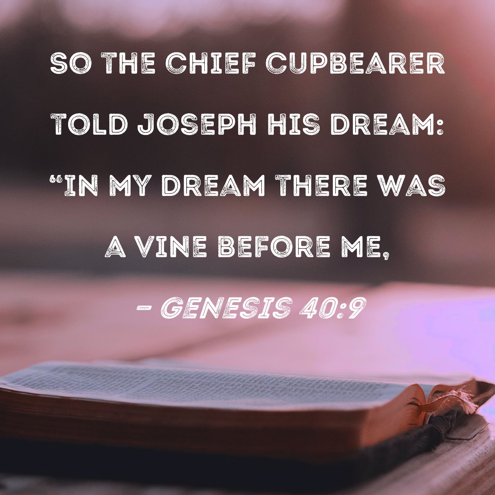 joseph from the bible dream