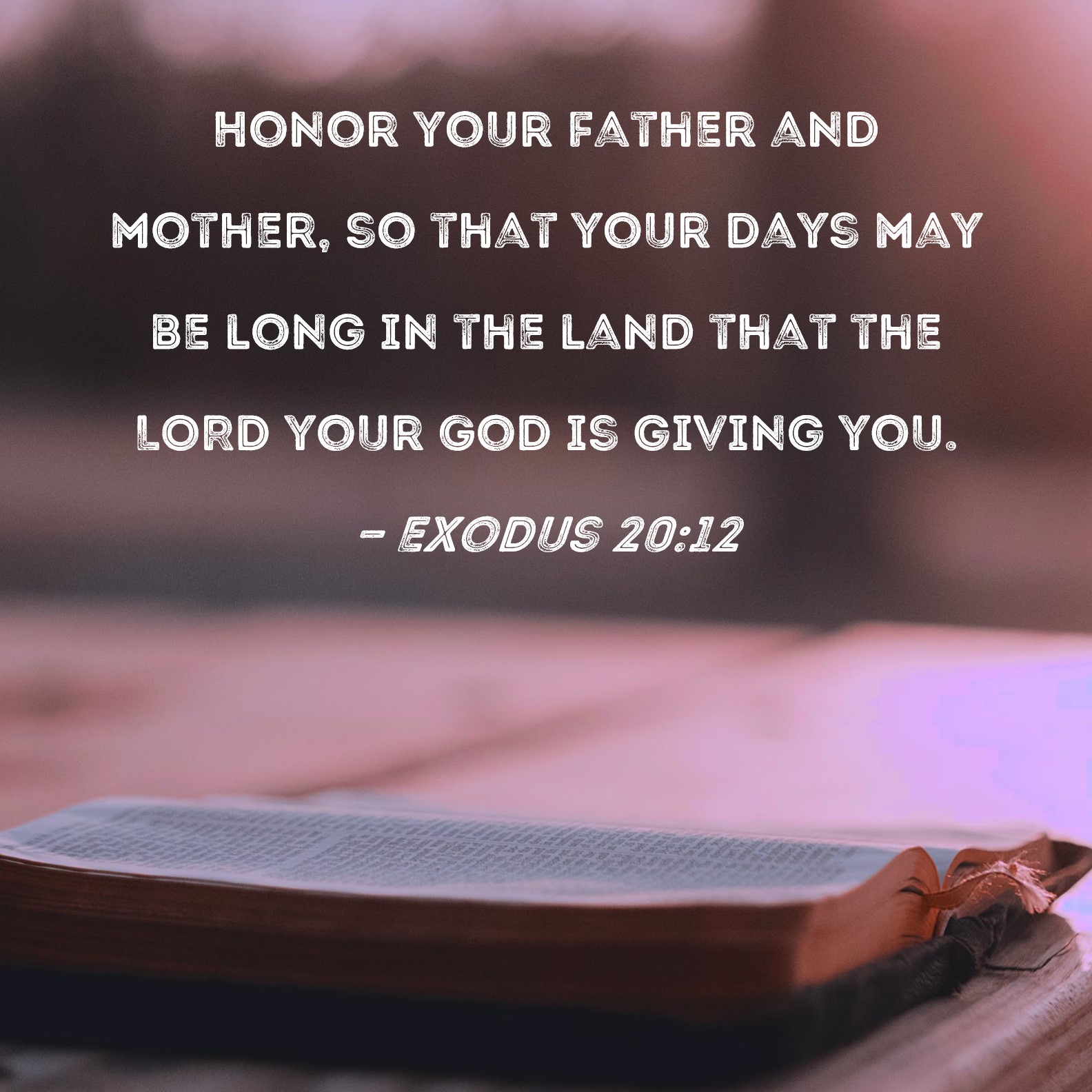 Exodus 20 12 Honor Your Father And Mother So That Your Days May Be 