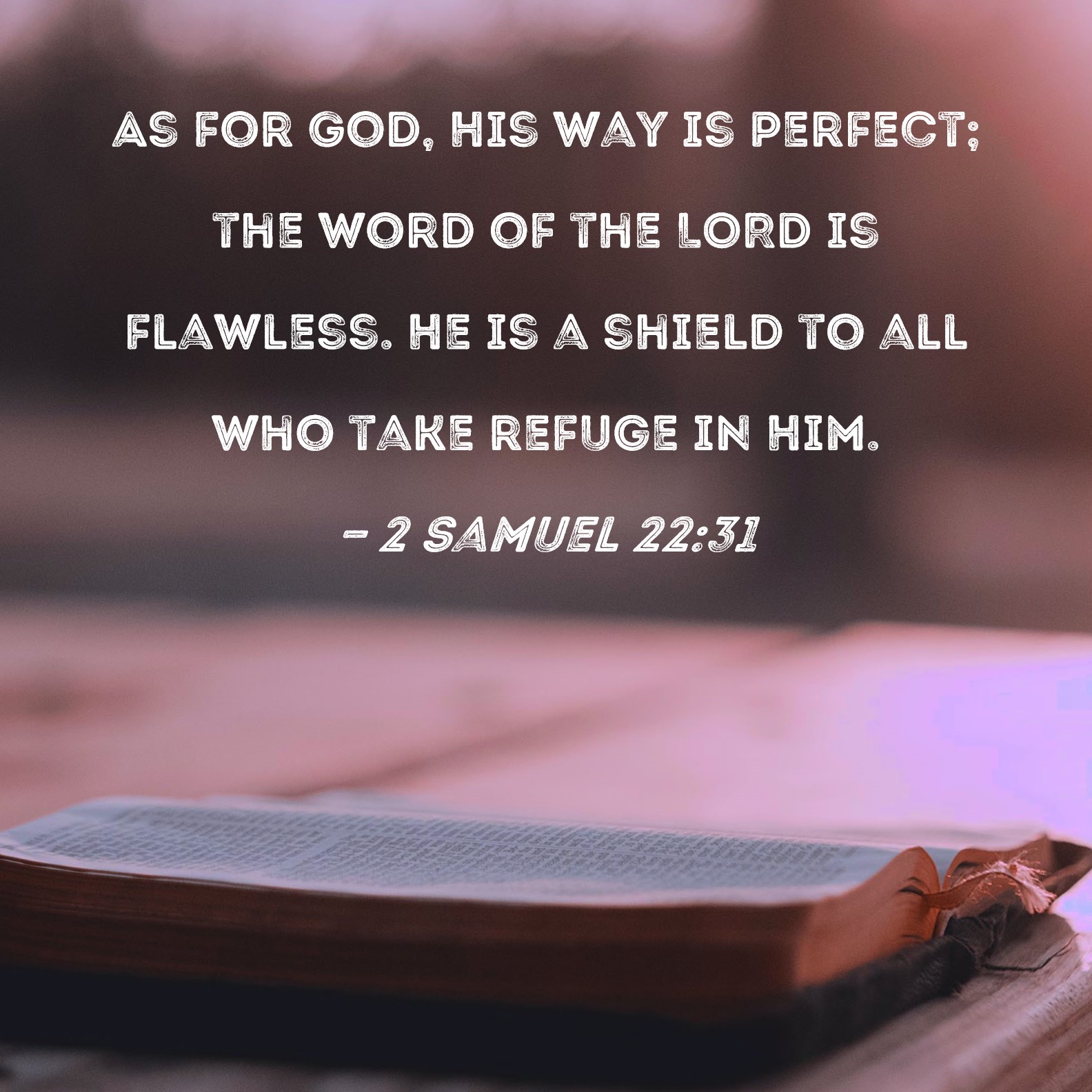As for God, his way is perfect; the word of the Lord is flawless. He is a  shield for all who take refuge in him. ~Psalms 18:30…