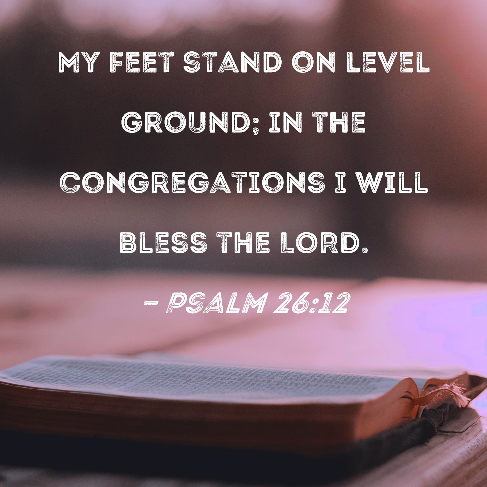 Psalm 26:12 My feet stand on level ground; in the congregations I will ...