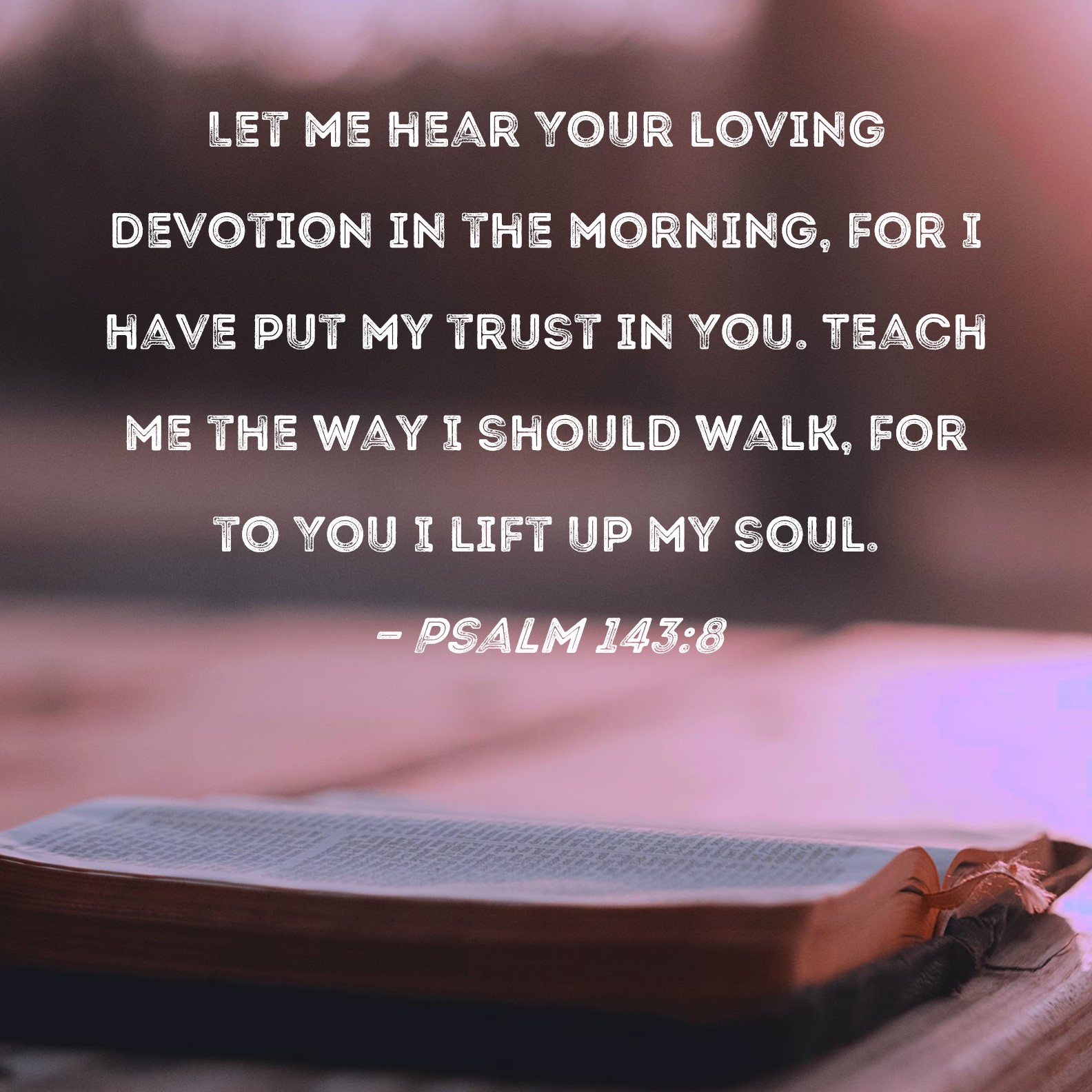 Psalm 143 8 Let Me Hear Your Loving Devotion In The Morning For I Have 