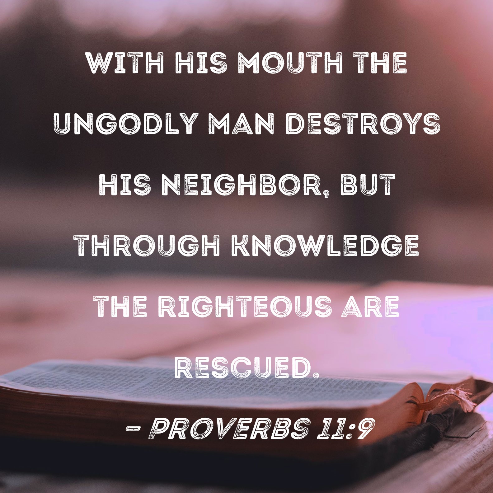 Proverbs 11 9 With His Mouth The Ungodly Man Destroys His Neighbor But 