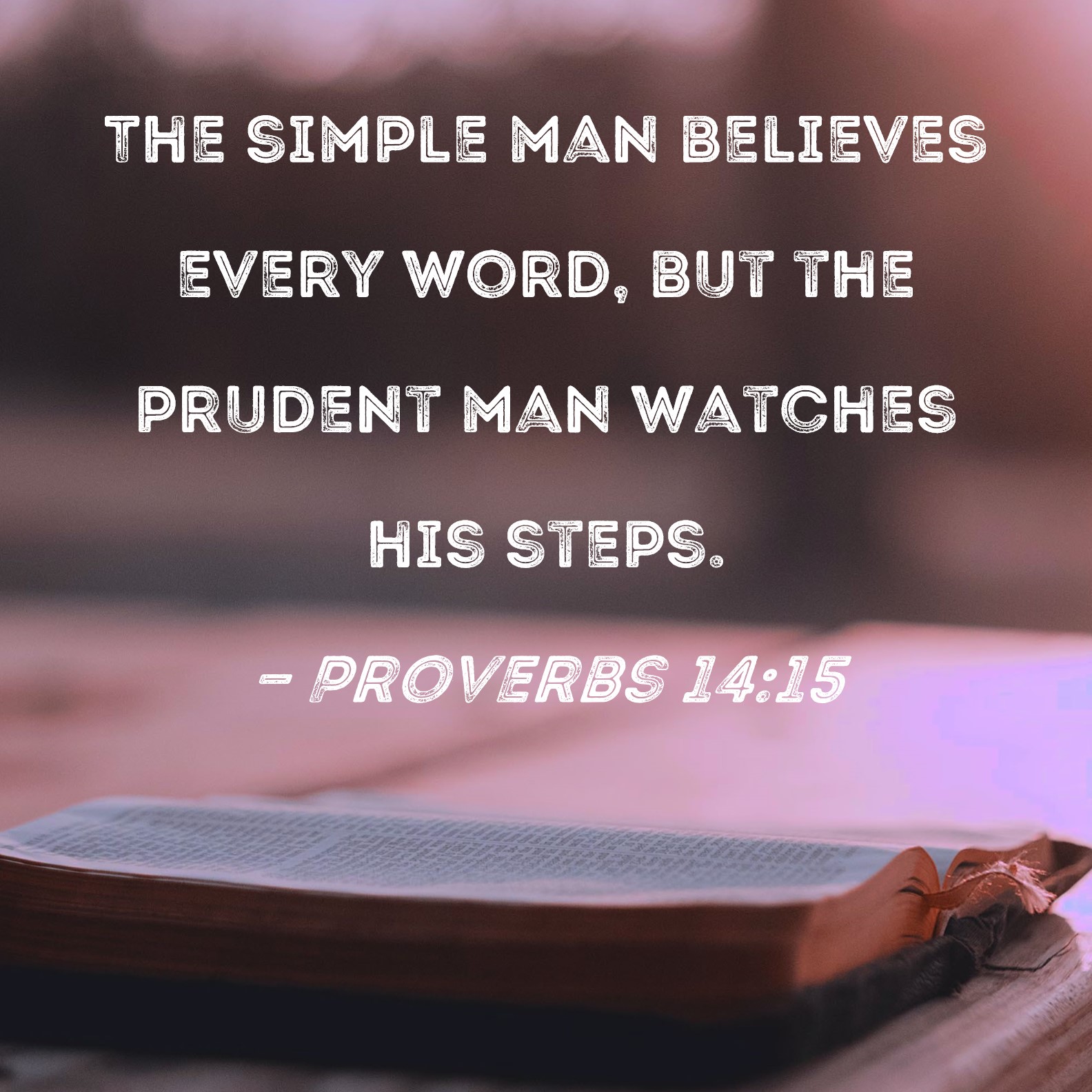 Proverbs 14 15 The Simple Man Believes Every Word But The Prudent Man 