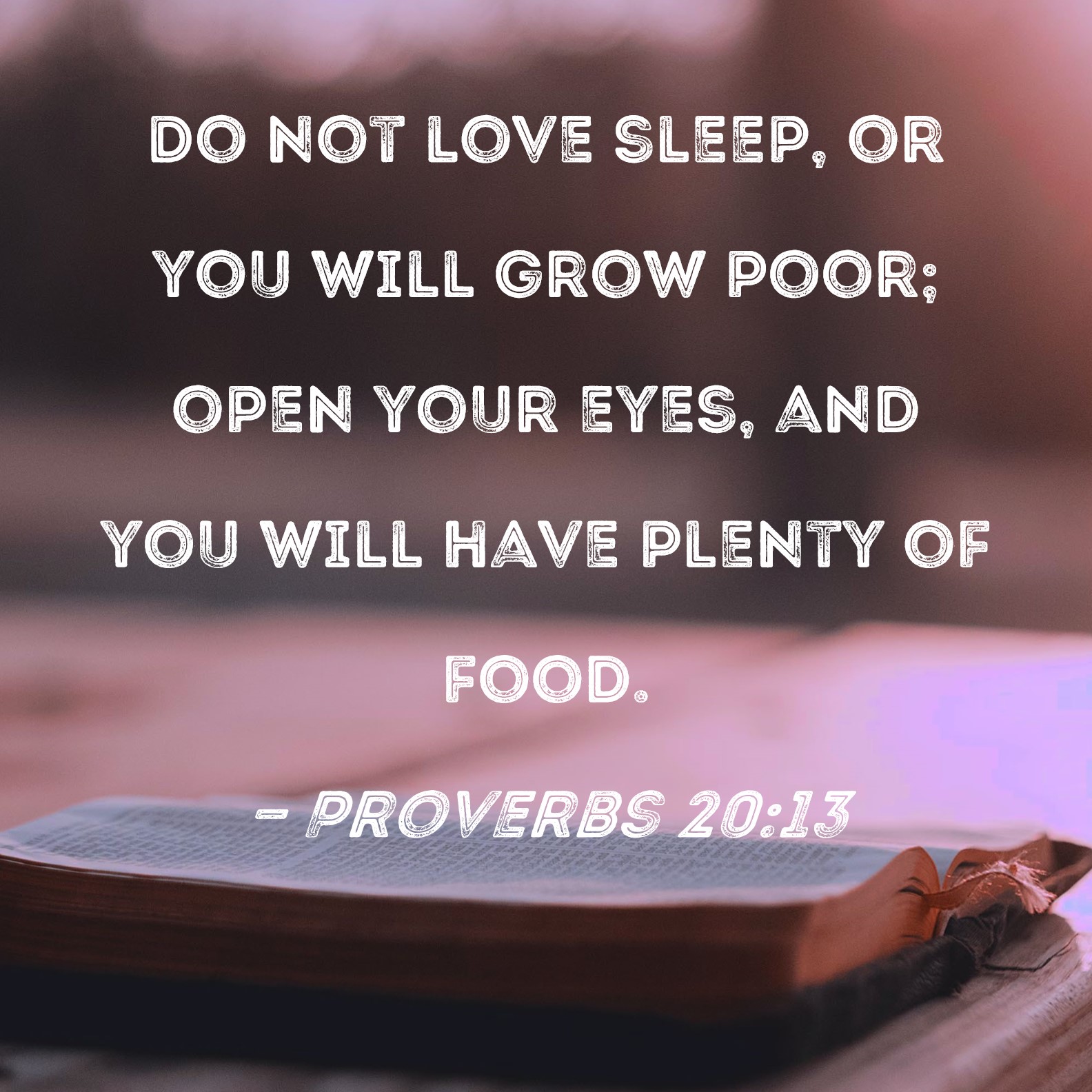 Proverbs 20:13 Do not love sleep, or you will grow poor; open your