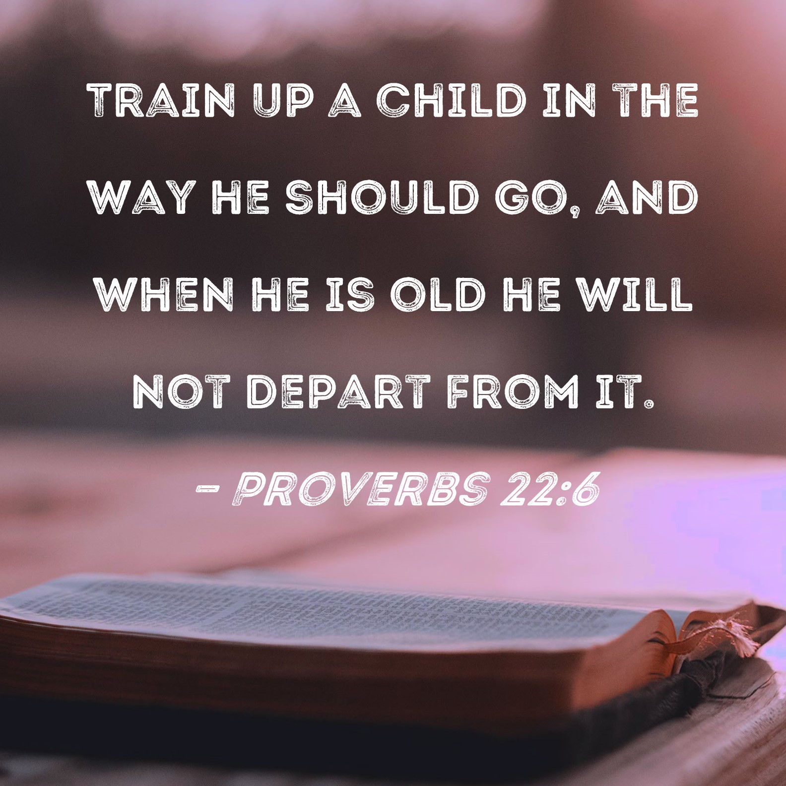 Proverbs 22 6 Train Up A Child In The Way He Should Go And When He Is 