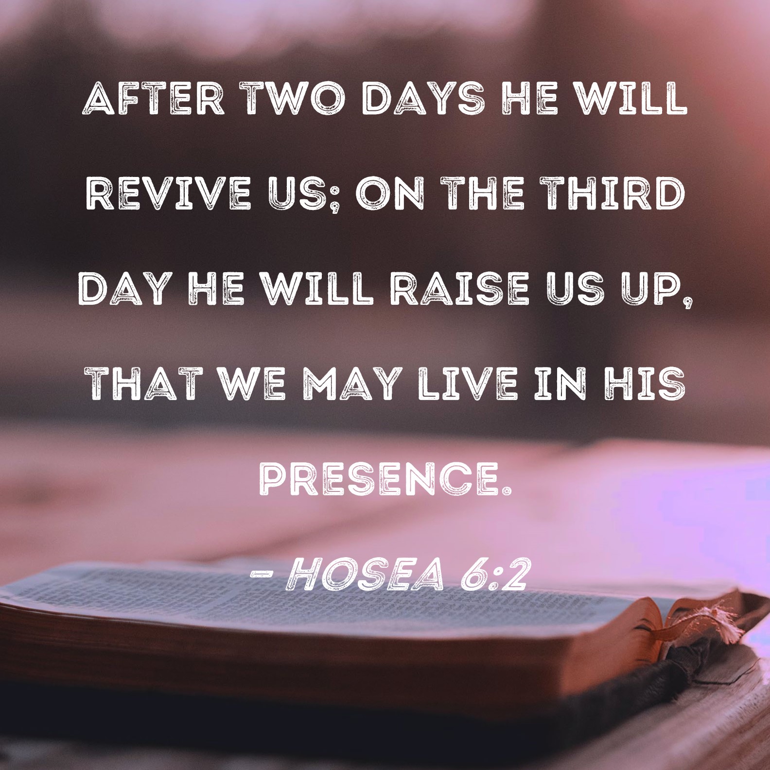 Hosea 6:2 After two days He will revive us; on the third day He will raise  us up, that we may live in His presence.