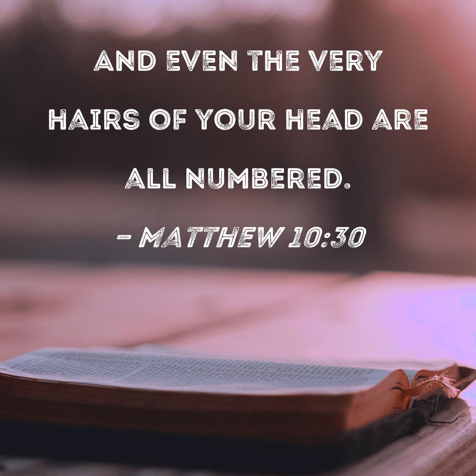 Matthew 10 30 And Even The Very Hairs Of Your Head Are All Numbered 