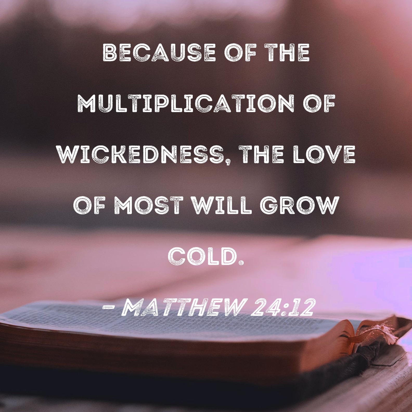 Matthew 2412 Because of the multiplication of wickedness, the love of