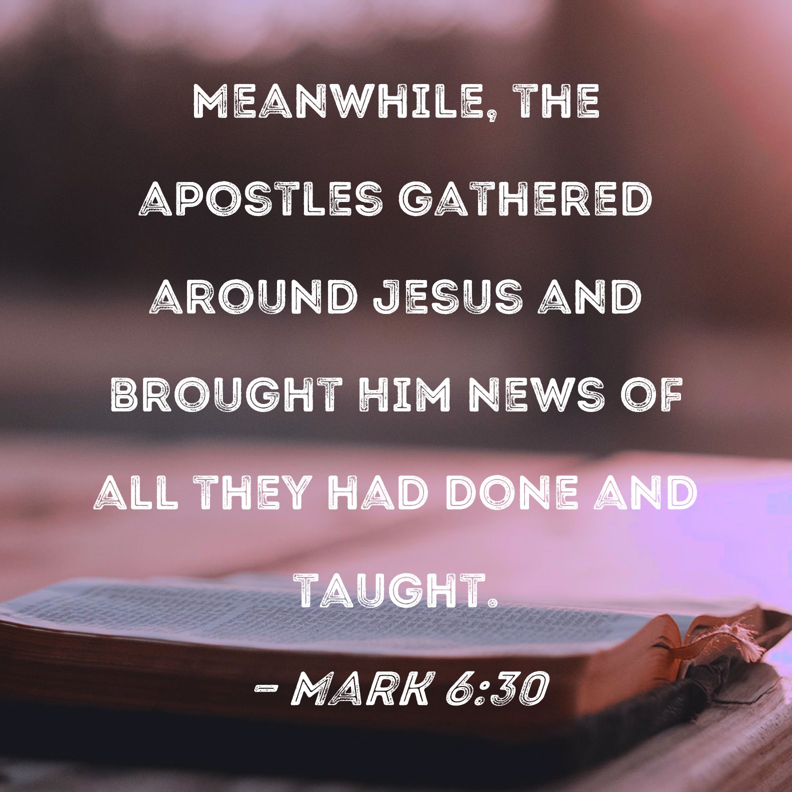 Mark 6 30 Meanwhile The Apostles Gathered Around Jesus And Brought Him 