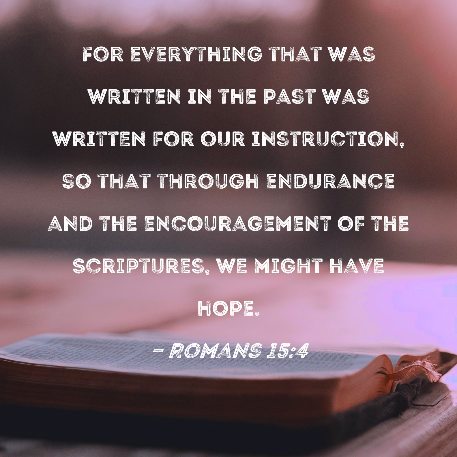 Romans 15 4 For Everything That Was Written In The Past Was Written For 