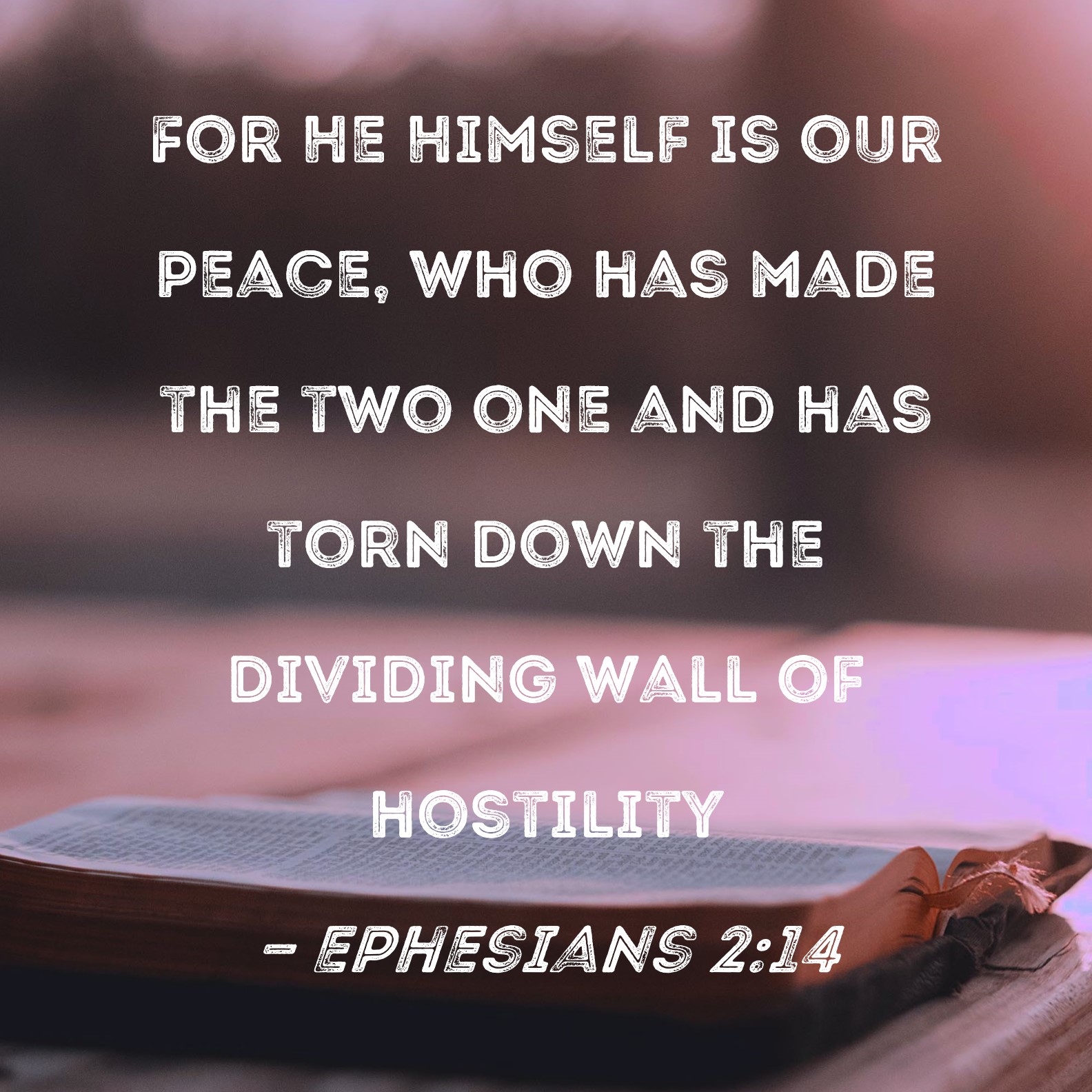 Ephesians 2 14 For He Himself Is Our Peace Who Has Made The Two One 