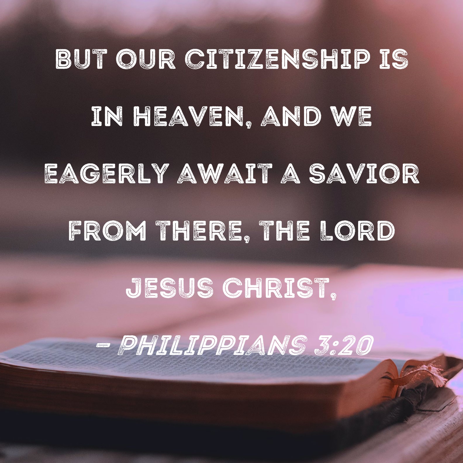 Philippians 3 20 But Our Citizenship Is In Heaven And We Eagerly Await 