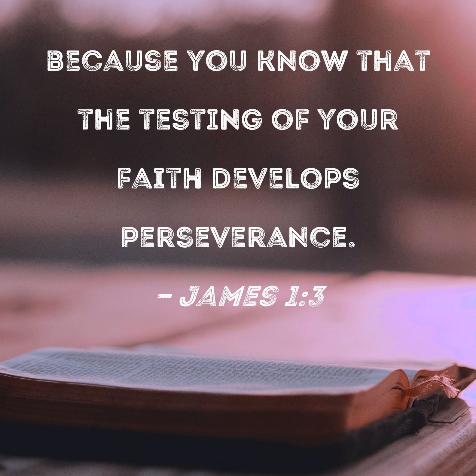 James 1 3 Because You Know That The Testing Of Your Faith Develops 