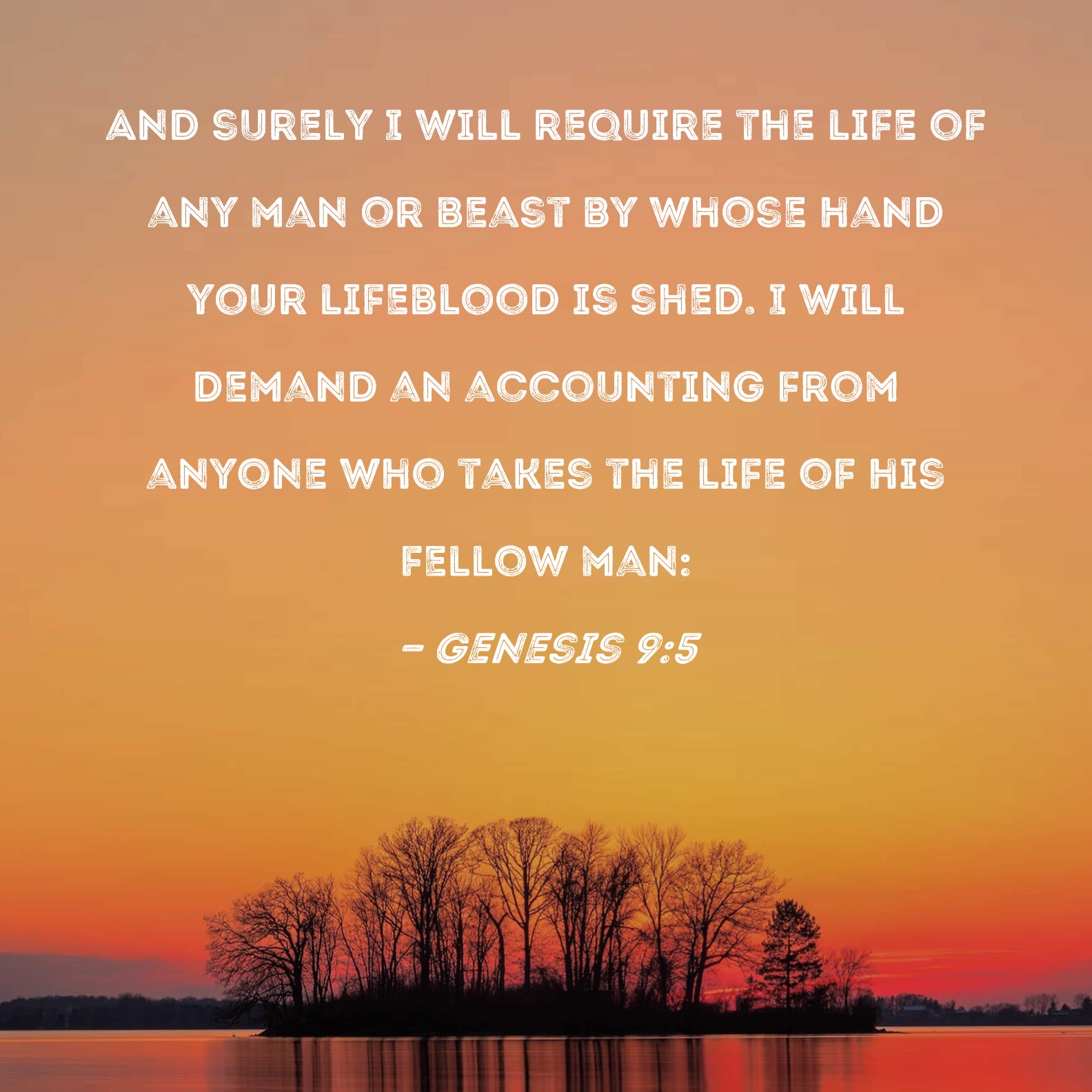 Genesis 9:5 And surely I will require the life of any man or beast by whose  hand your lifeblood is shed. I will demand an accounting from anyone who  takes the life