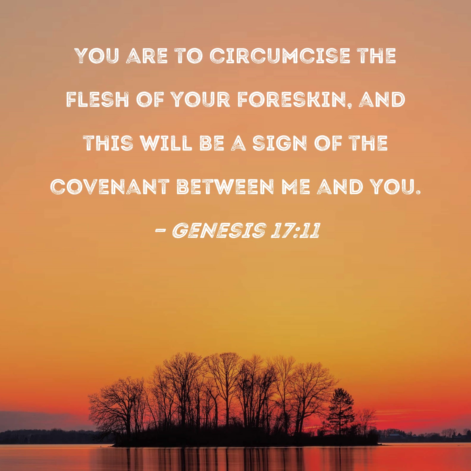 Genesis 17 11 You Are To Circumcise The Flesh Of Your Foreskin And 