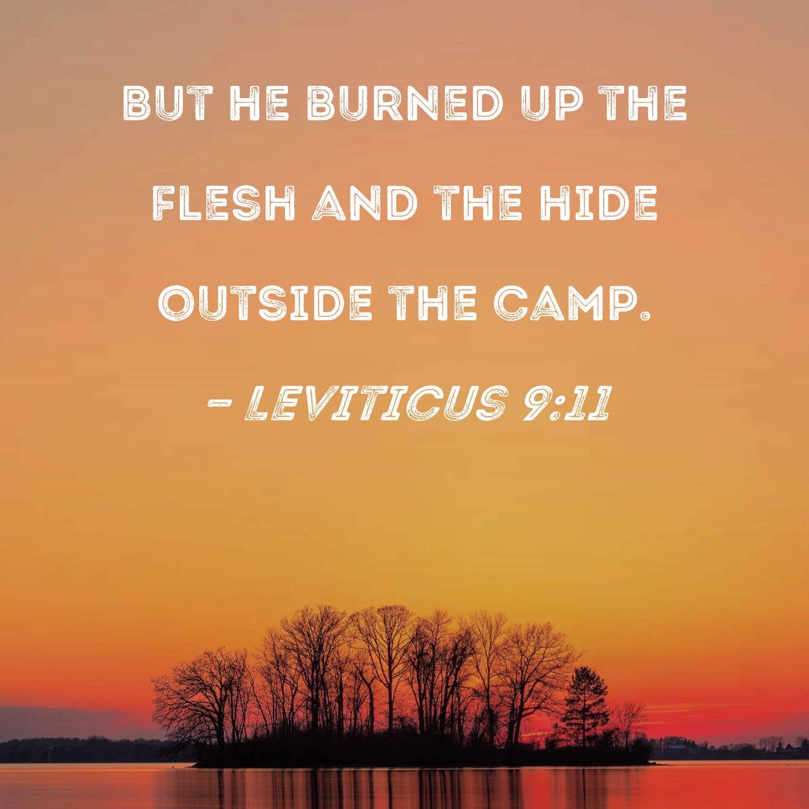 Leviticus 9:11 But he burned up the flesh and the hide outside the camp.