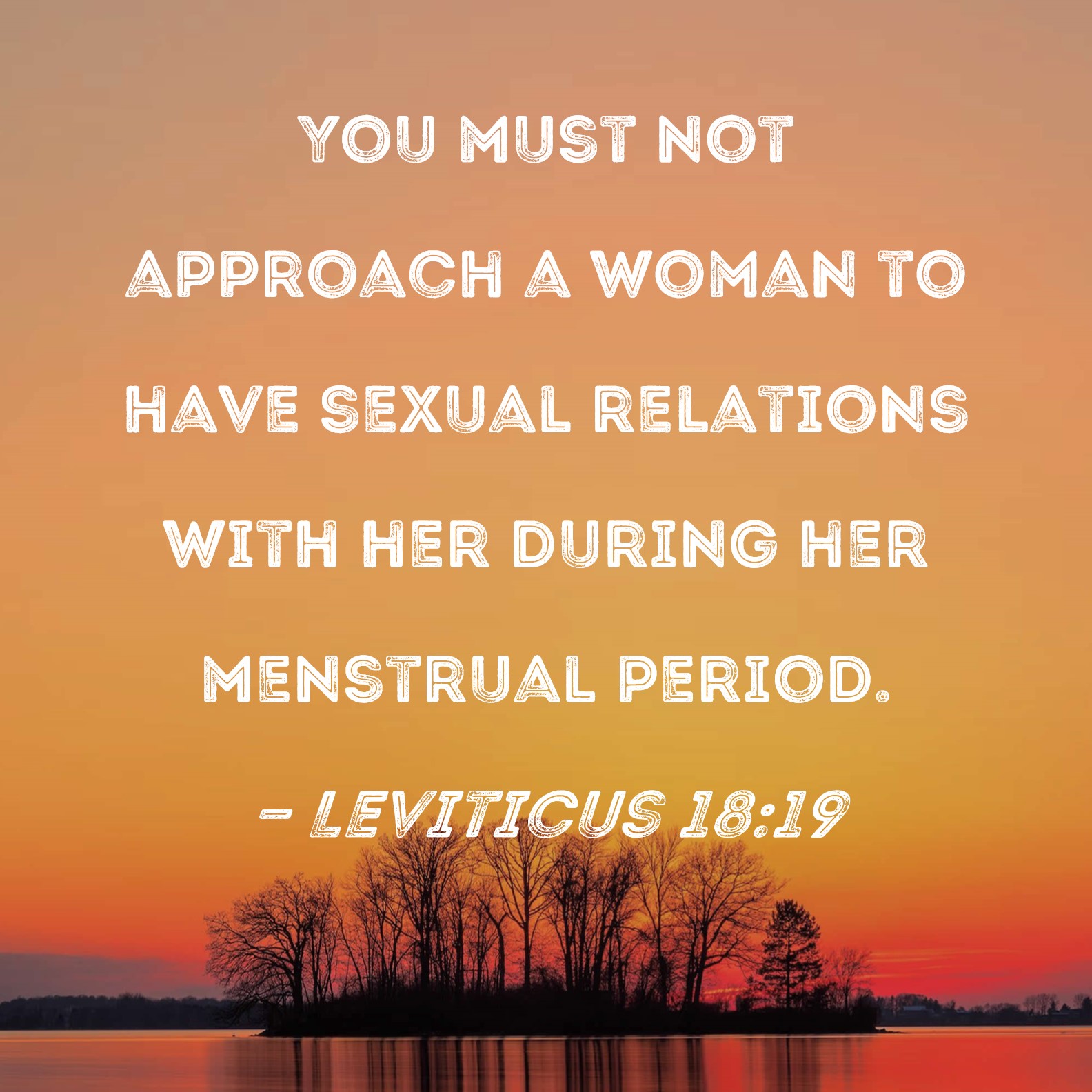 Leviticus 1819 You must not approach a woman to have sexual relations with her during her menstrual period. image
