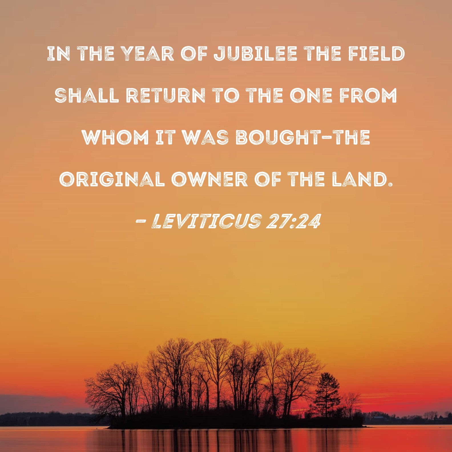 Leviticus 2724 In the Year of Jubilee the field shall return to the
