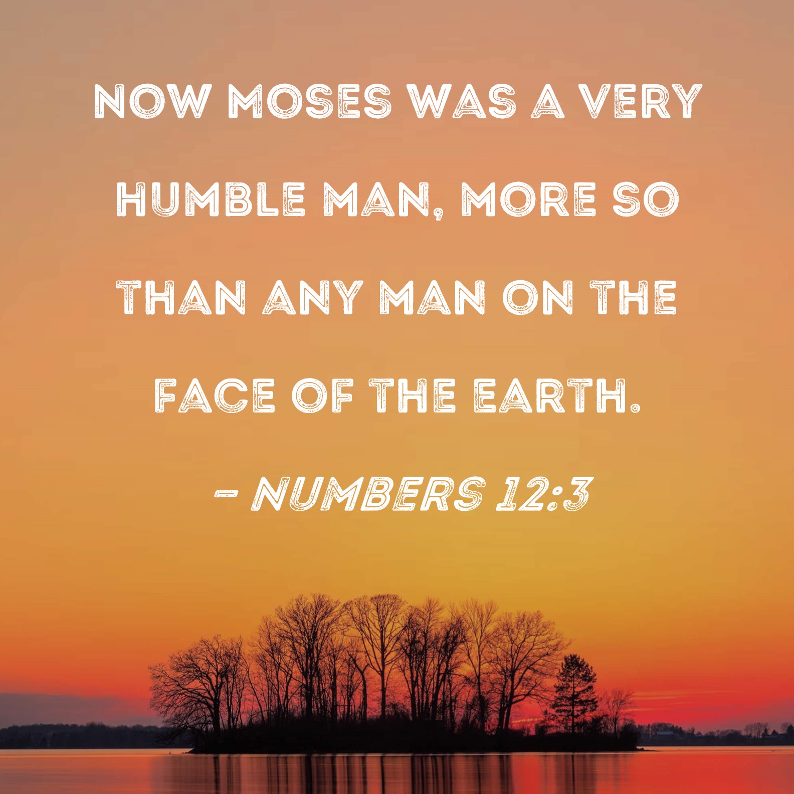 Numbers 12 3 Now Moses Was A Very Humble Man More So Than Any Man On 