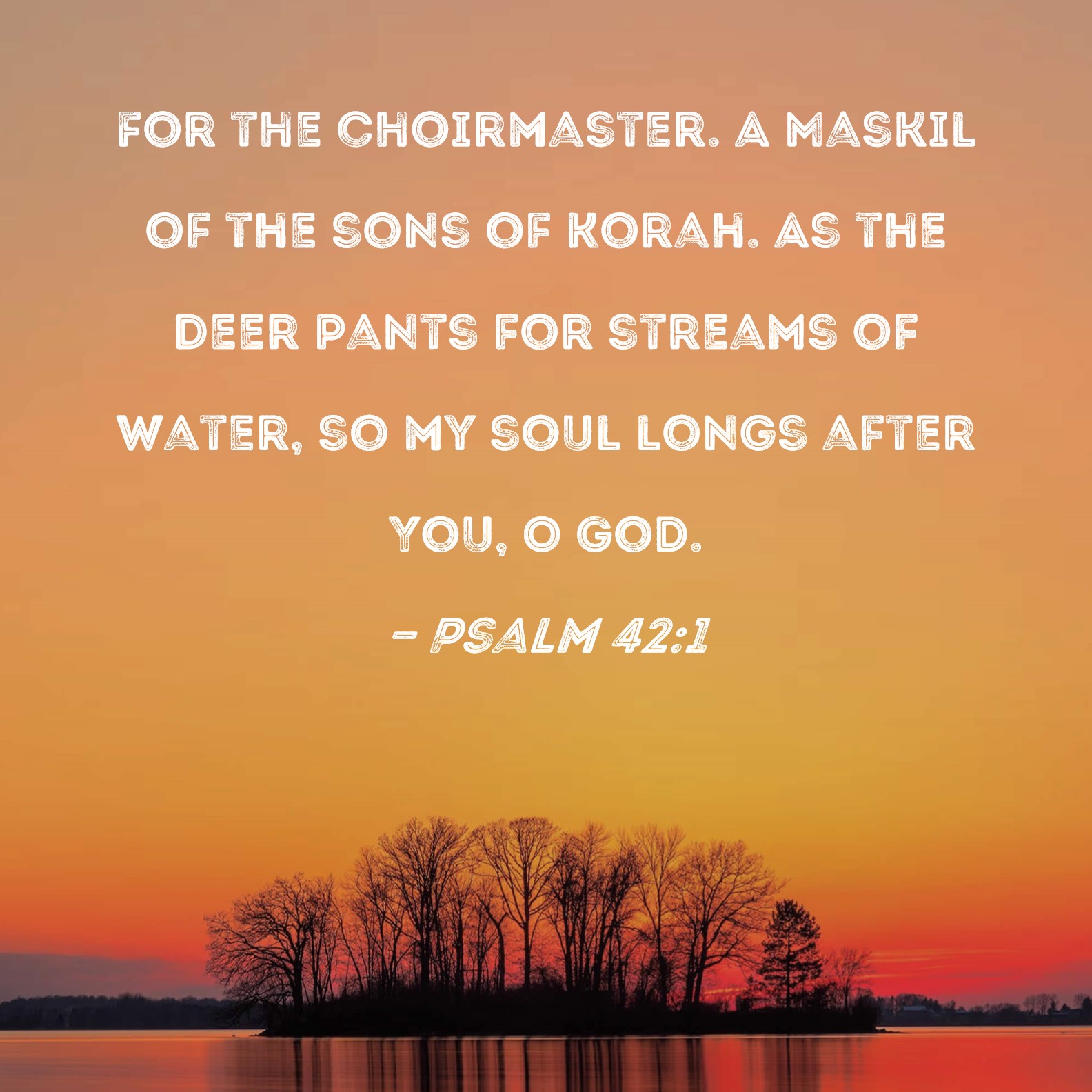 Psalm 42 1 As The Deer Pants For Streams Of Water So My Soul Longs 