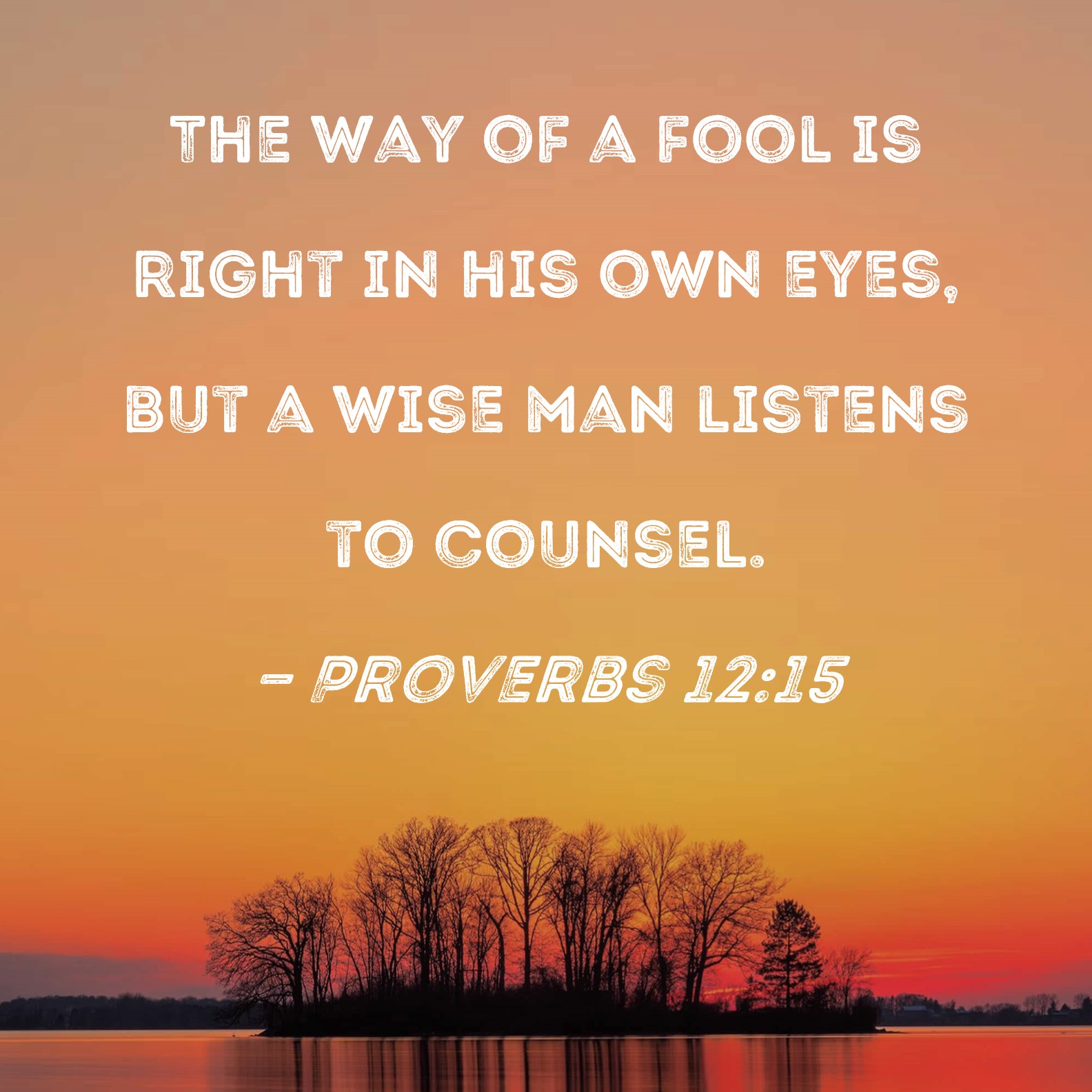 Proverbs 12 15 The Way Of A Fool Is Right In His Own Eyes But A Wise 