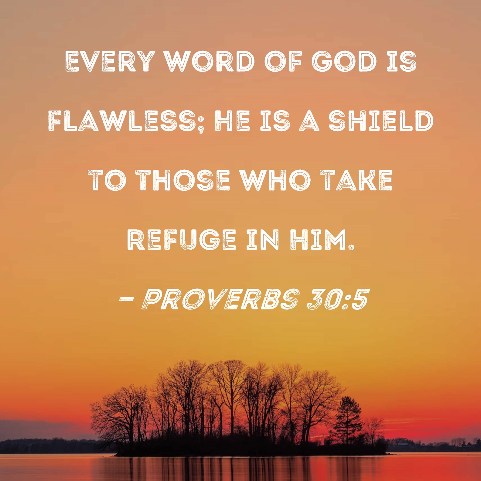 Proverbs 305 Every Word Of God Is Flawless He Is A Shield To Those