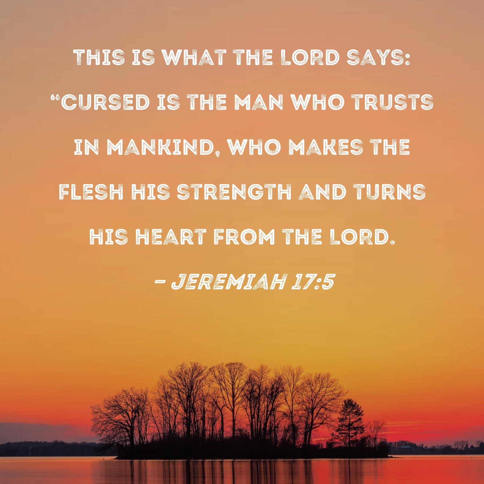 Jeremiah 17 5 This Is What The LORD Says Cursed Is The Man Who Trusts 